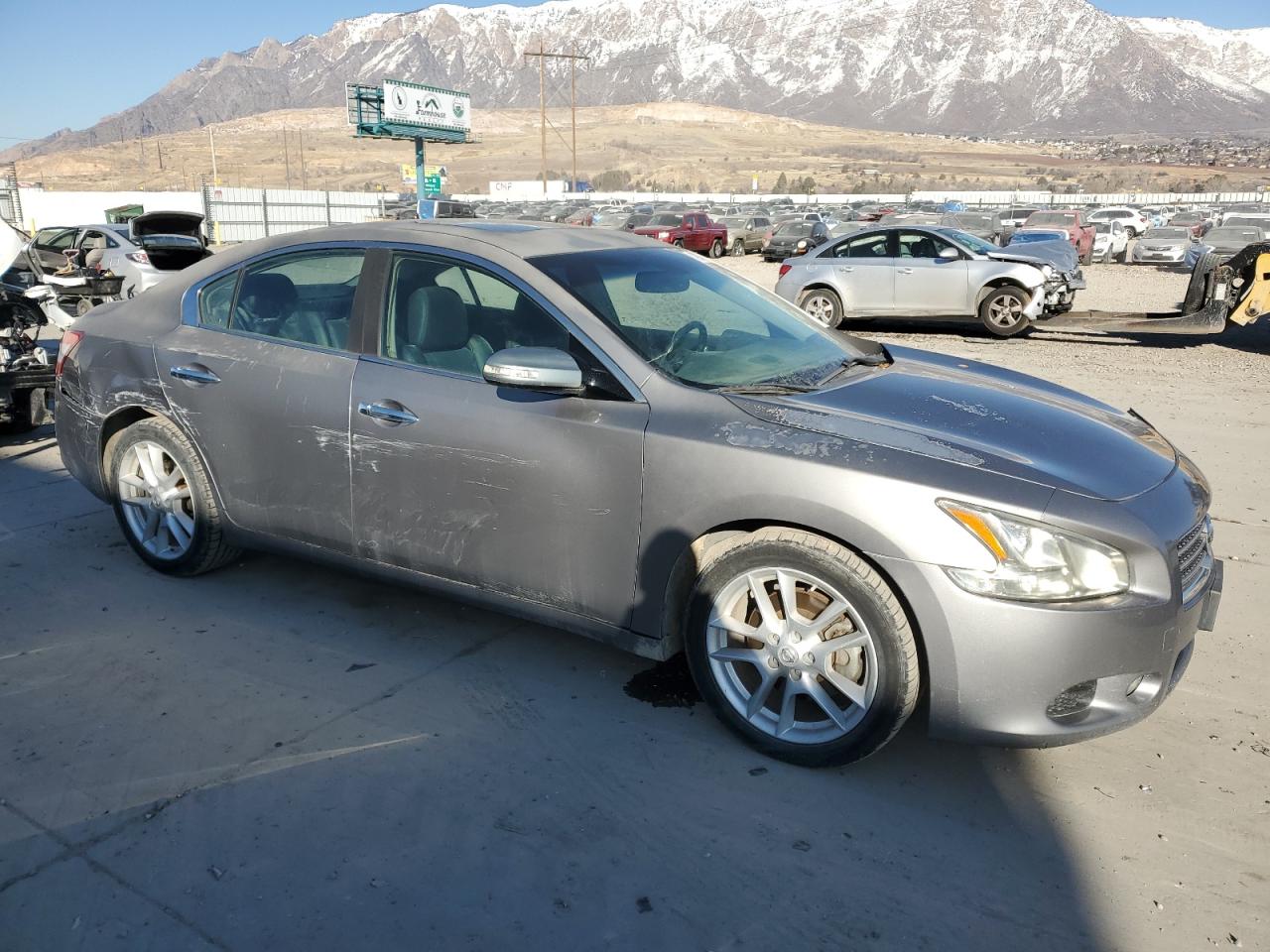 2009 Nissan Maxima VIN 1N4AA51E19C856630 Copart auction photo, side / rear end damage thumbnail 4