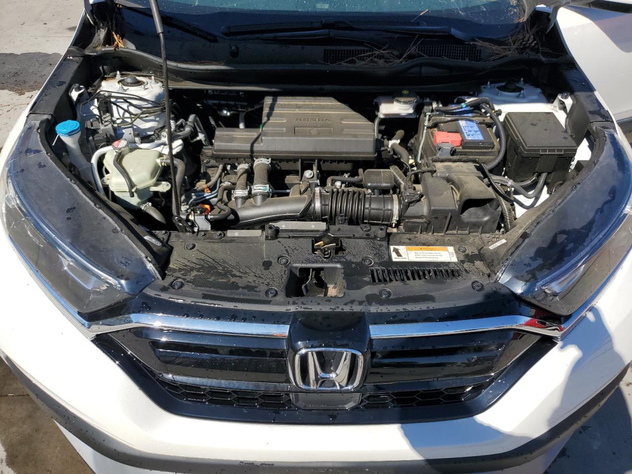 2021 Honda CR-V VIN 5J6RW2H78ML025858 Copart auction photo, rear end / minor dent/scratches damage thumbnail 12
