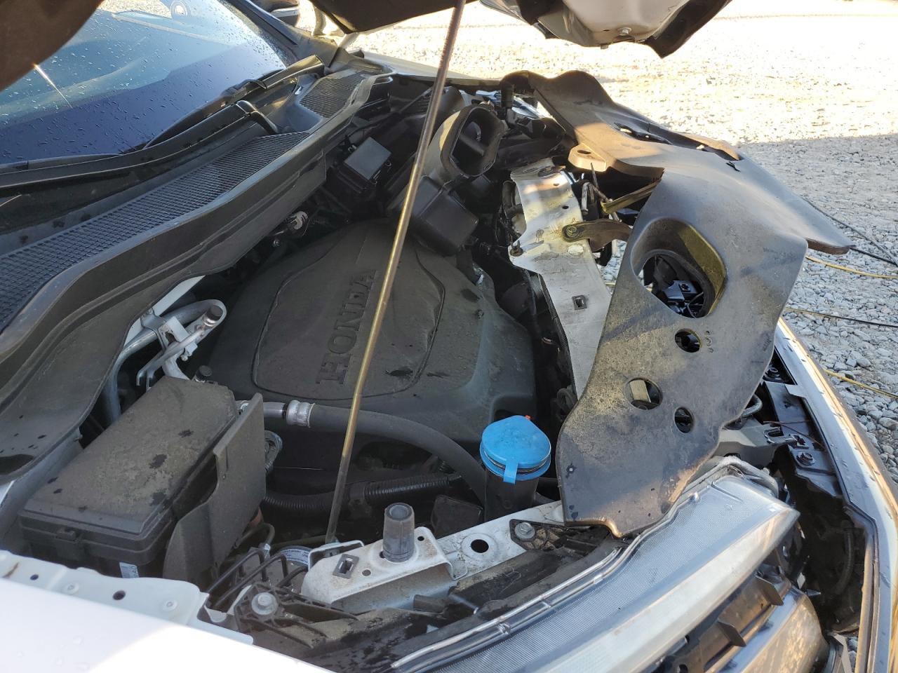 2021 Honda Passport VIN 5FNYF7H90MB008488 Copart auction photo, front end damage thumbnail 12