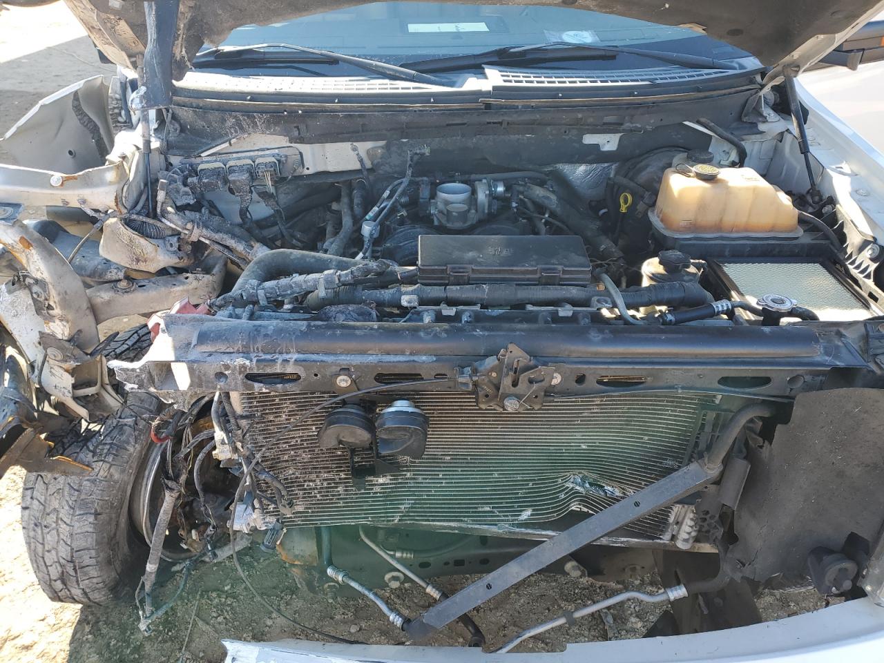 2010 Ford F-150 VIN 1FTFW1CV6AFD61267 Copart auction photo, front end damage thumbnail 12