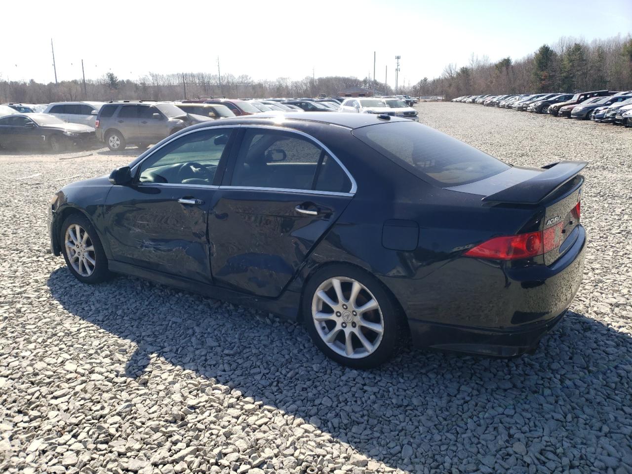 2006 Acura TSX VIN JH4CL96866C002461 Copart auction photo, side / all over damage thumbnail 2