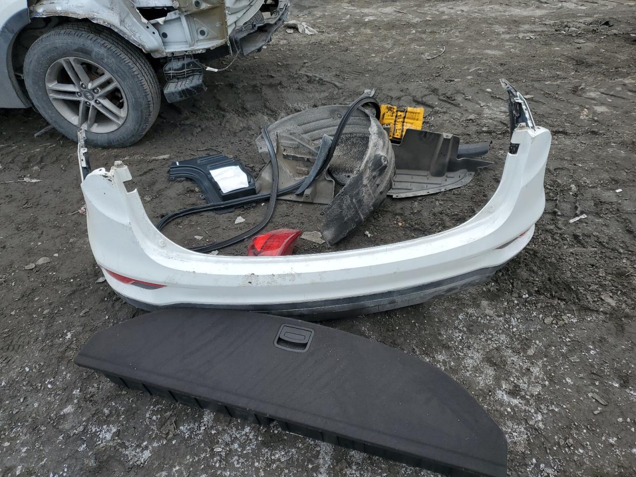 2017 Hyundai Santa Fe VIN 5NMZUDLB9HH052268 Copart auction photo, rear end / side damage thumbnail 13