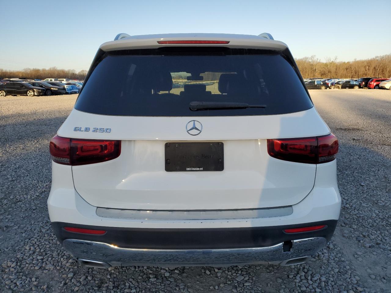 2020 Mercedes-Benz GLB VIN W1N4M4GB2LW025335 Copart auction photo, water/flood damage thumbnail 6