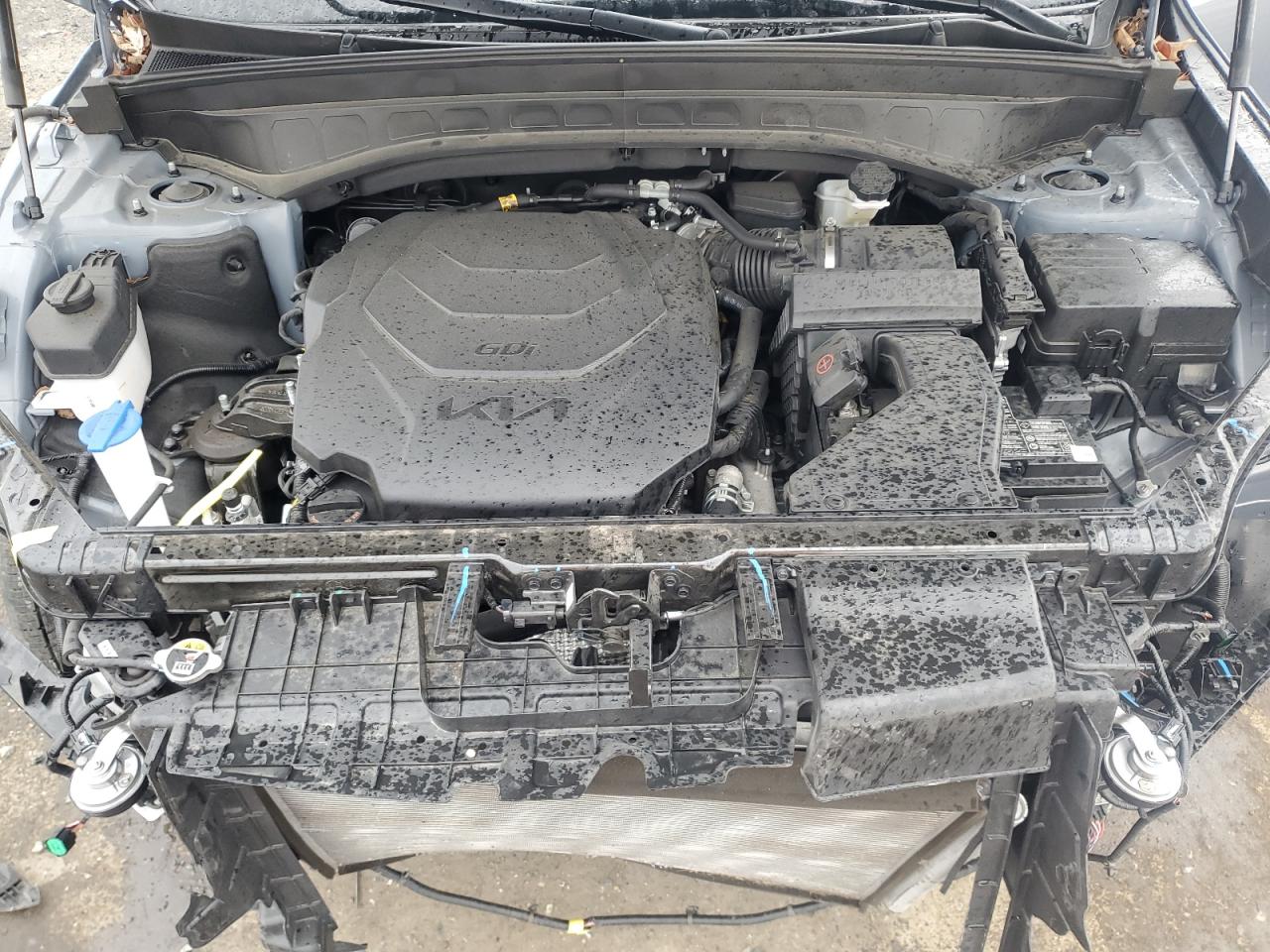 2024 KIA Telluride VIN 5XYP64GC3RG418760 Copart auction photo, front end / minor dent/scratches damage thumbnail 12