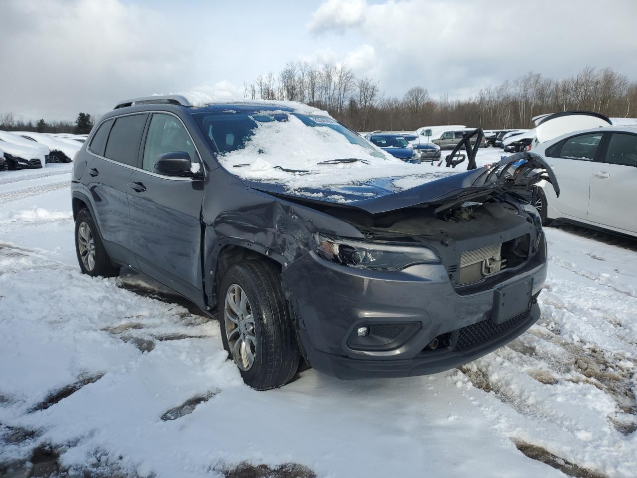 2019 Jeep Grand Cherokee VIN 1C4PJMLB1KD250830 Copart auction photo, all over damage thumbnail 4