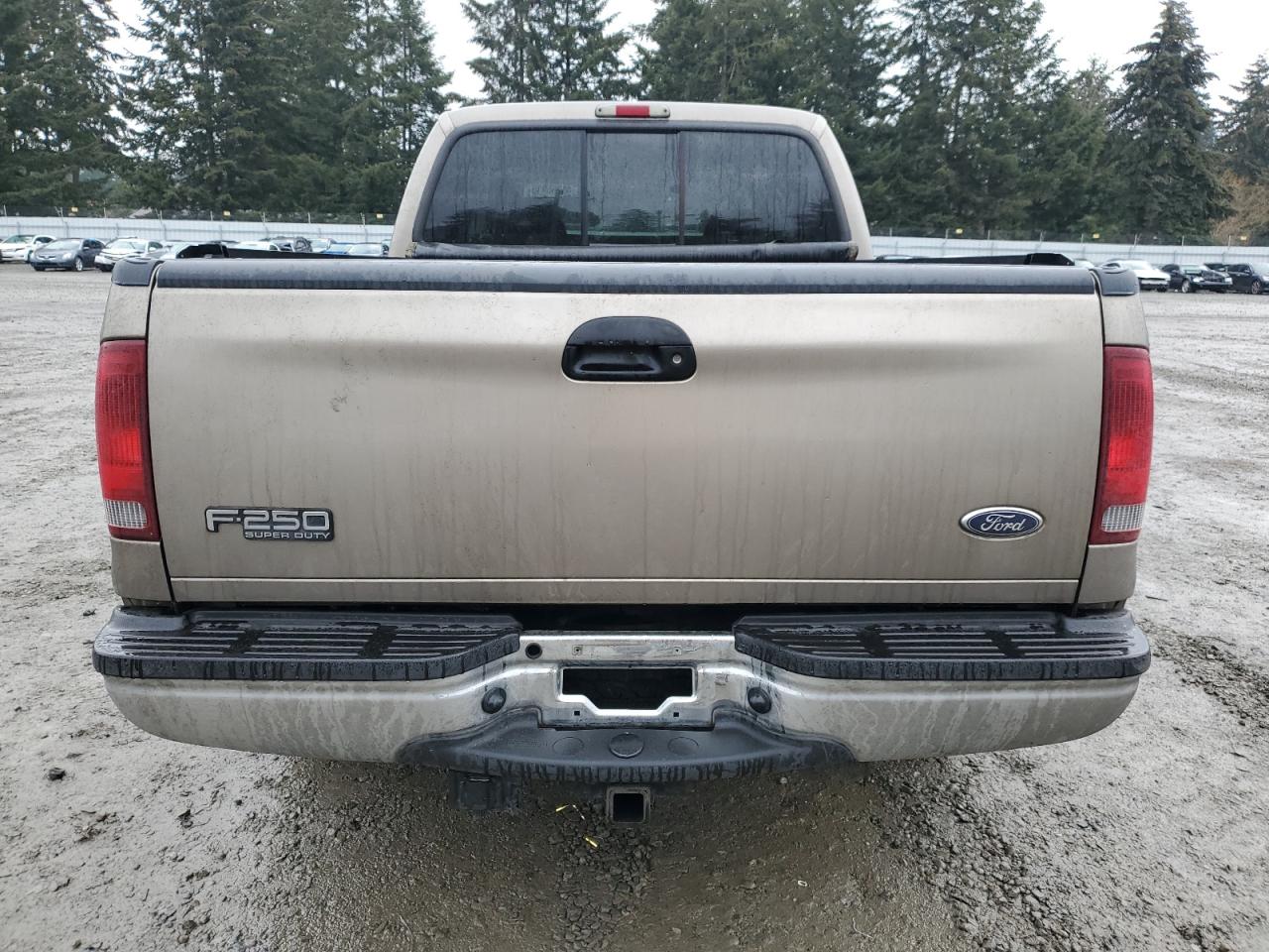 2002 Ford F250 VIN 1FTNW20S62ED38381 Copart auction photo, vandalism / side damage thumbnail 6