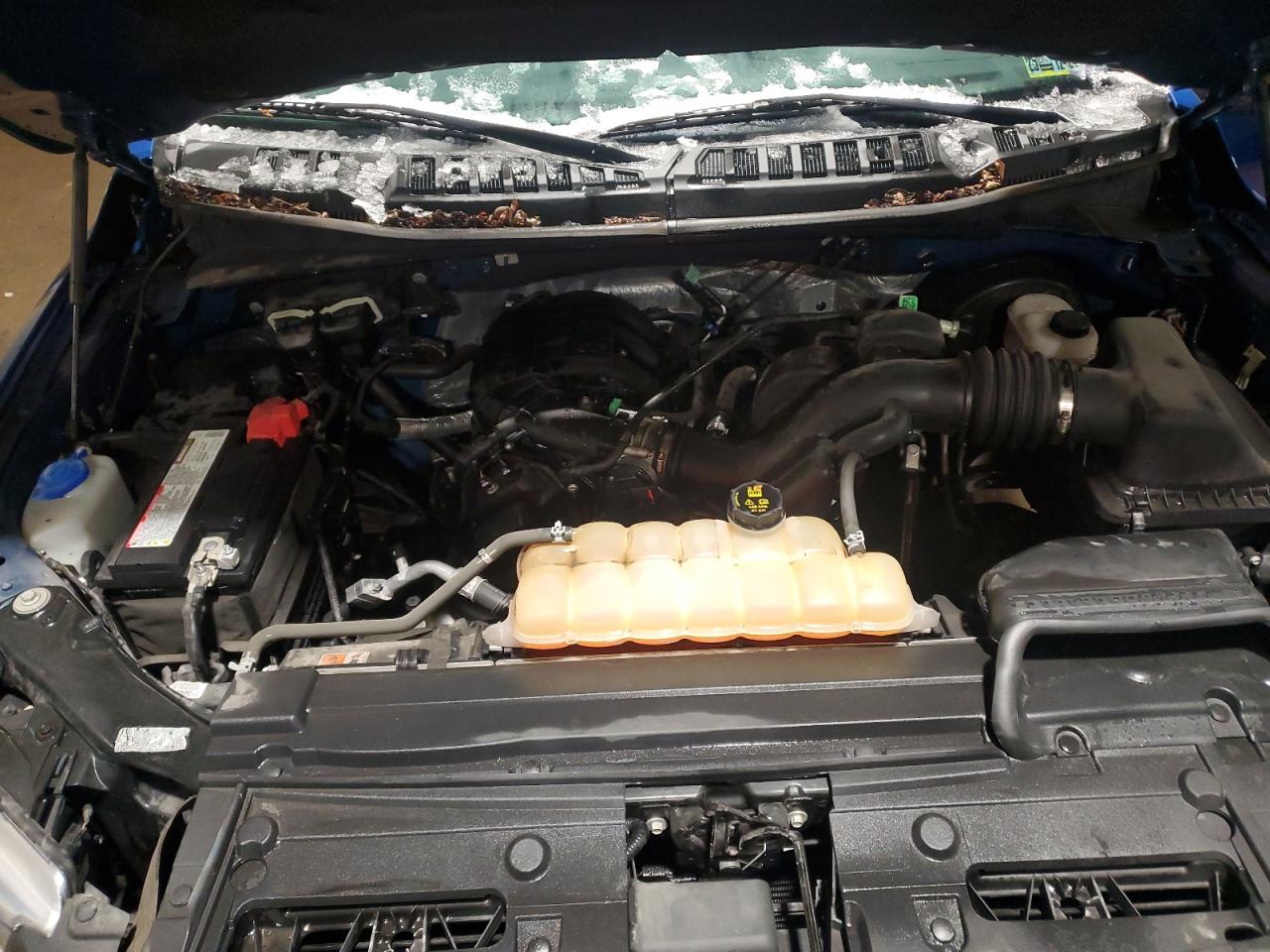 2016 Ford F-150 VIN 1FTMF1C81GKF02599 Copart auction photo, side / front end damage thumbnail 11