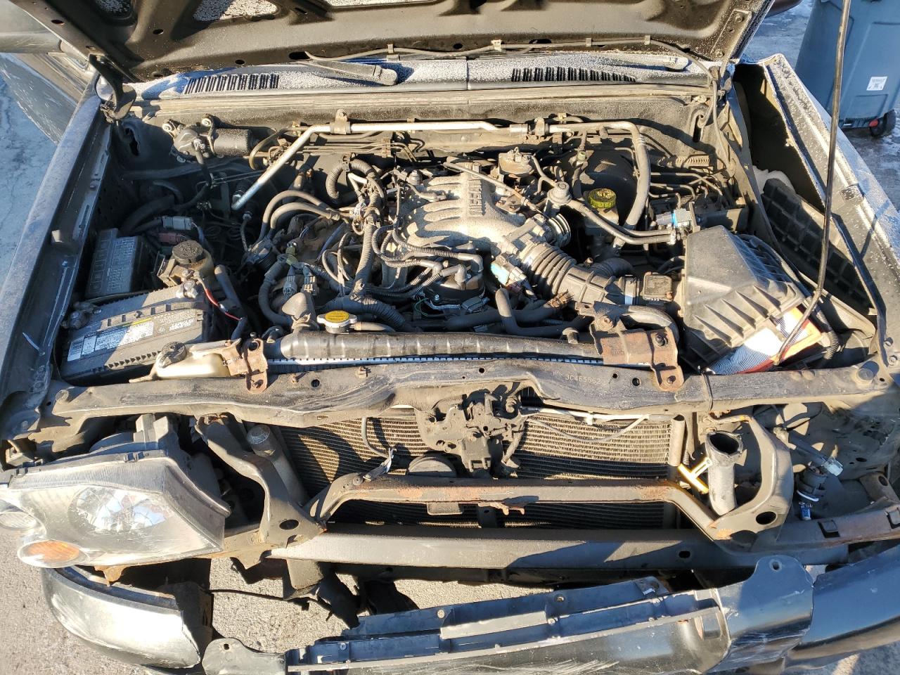 2003 Nissan Navara (Frontier) VIN 1N6ED26Y53C465862 Copart auction photo, front end / minor dent/scratches damage thumbnail 11