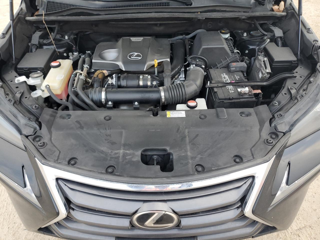 2015 Lexus NX VIN JTJYARBZ0F2020002 Copart auction photo, rear end damage thumbnail 12