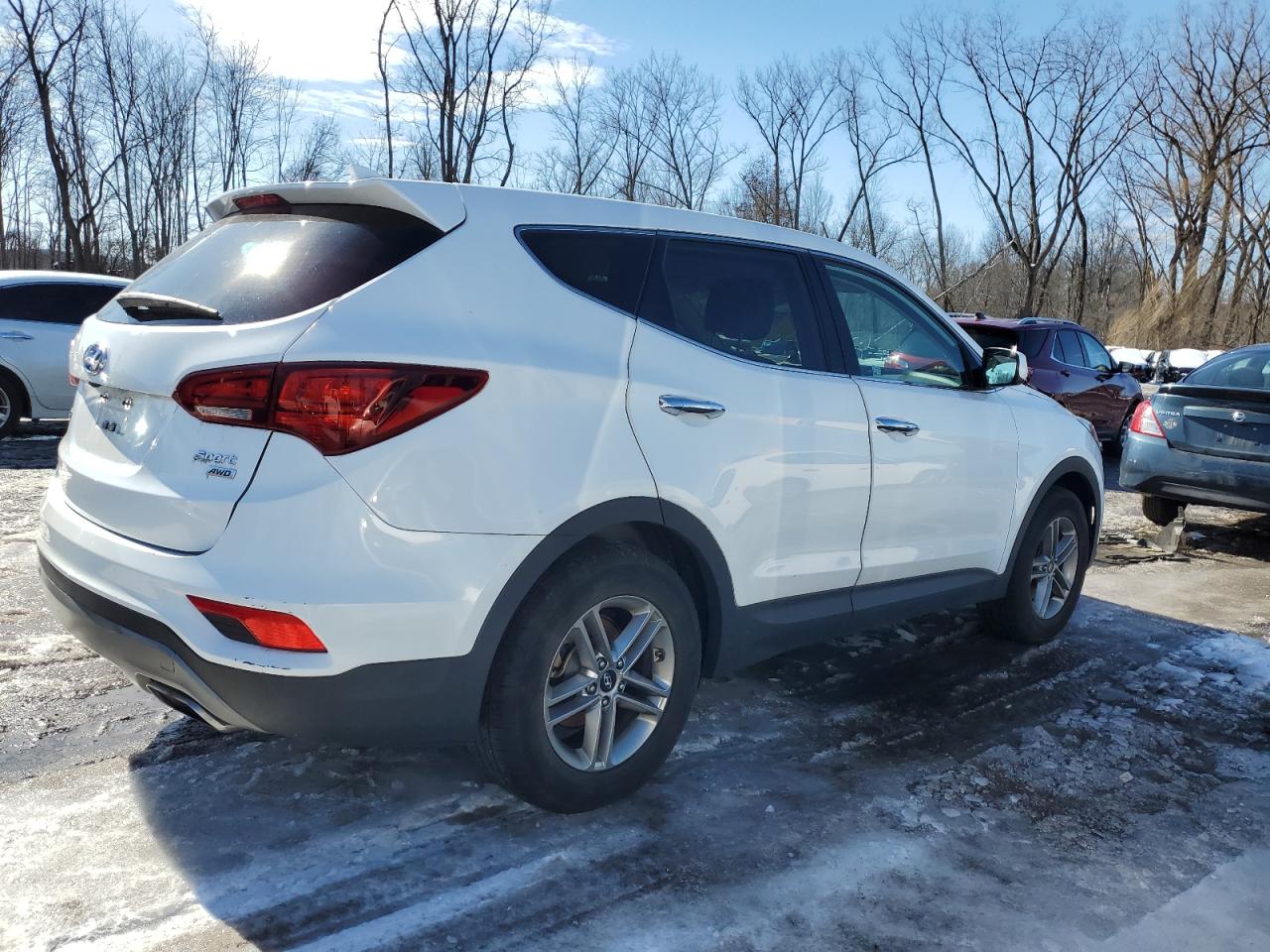 2017 Hyundai Santa Fe VIN 5XYZTDLB1HG419791 Copart auction photo, mechanical damage thumbnail 3