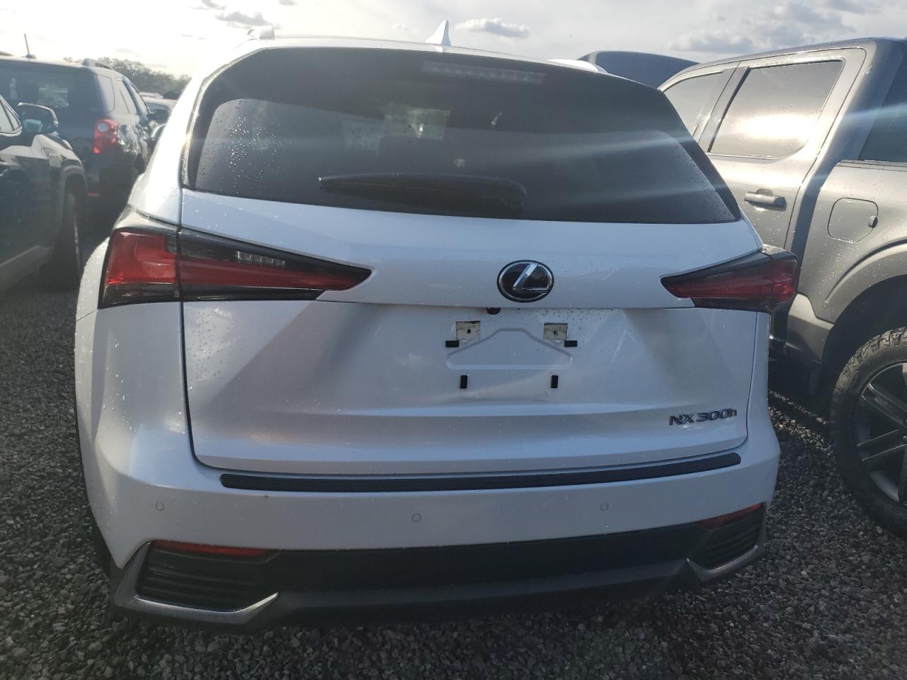 2021 Lexus NX VIN JTJDJRDZ1M5010828 Copart auction photo, water/flood damage thumbnail 6