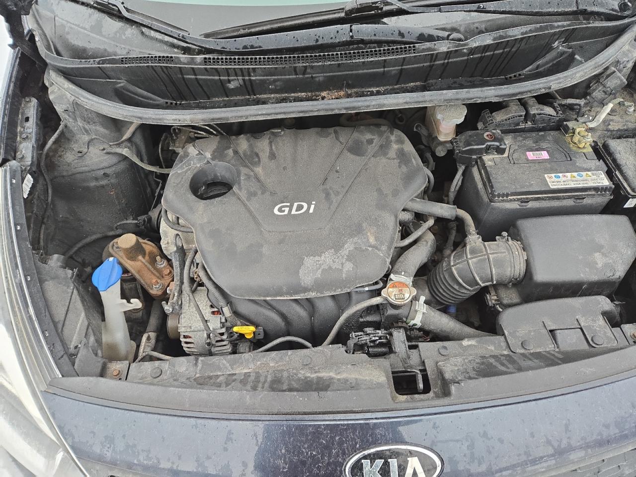 2015 KIA Rio VIN KNADM4A35F6518338 Copart auction photo, side damage thumbnail 11