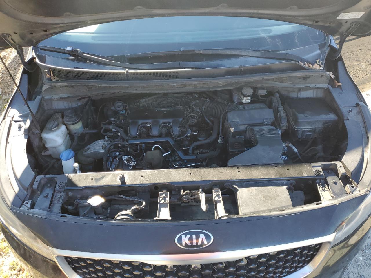 2016 KIA Sedona VIN KNDMB5C18G6091572 Copart auction photo, side damage thumbnail 12