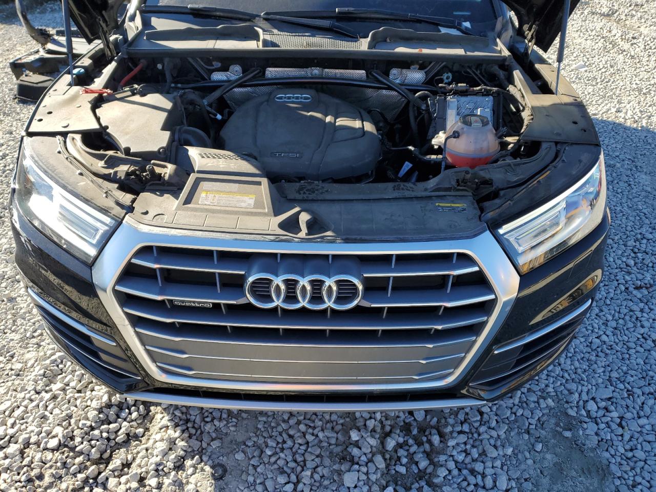 2019 Audi Q5 VIN WA1ANAFY5K2072810 Copart auction photo, rear end damage thumbnail 12