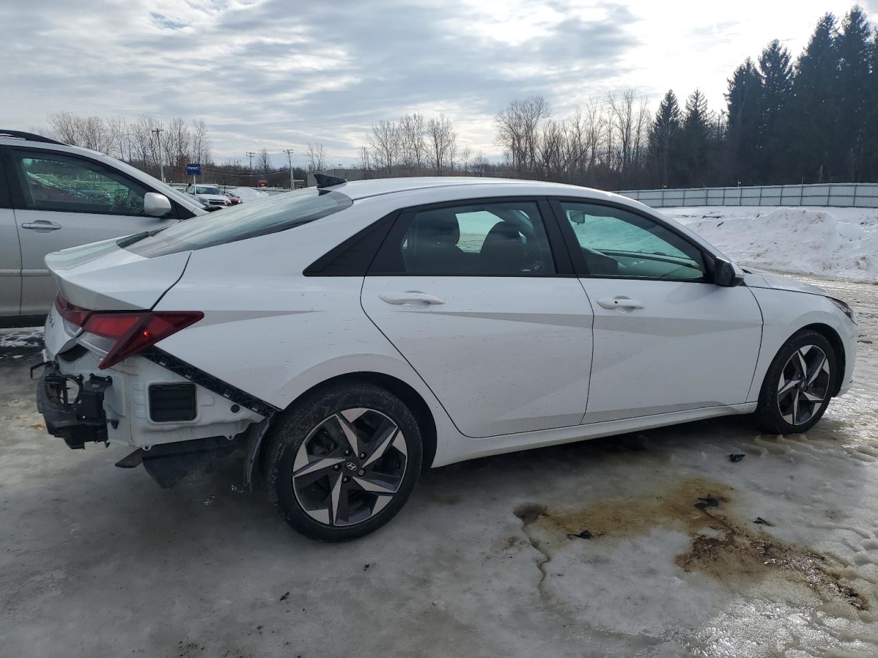 2023 Hyundai Elantra VIN 5NPLS4AG6PH086194 Copart auction photo, rear end damage thumbnail 3