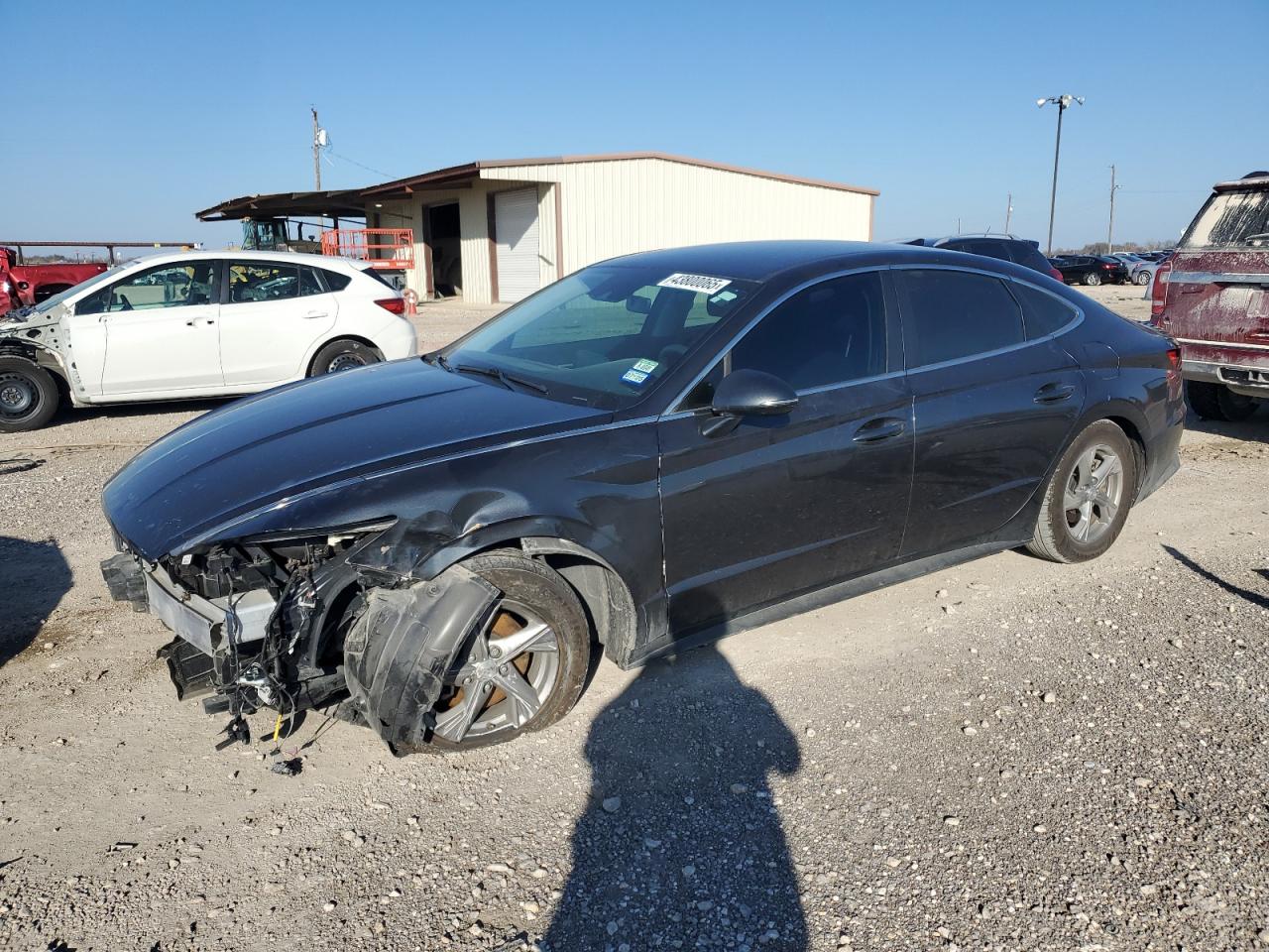 2023 Hyundai Sonata VIN KMHL24JA9PA318110 - Copart auction photo
