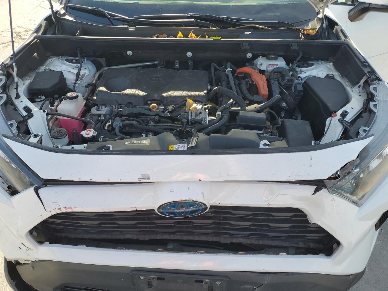 2019 Toyota RAV 4 VIN 2T3MWRFVXKW027261 Copart auction photo, front end damage thumbnail 11