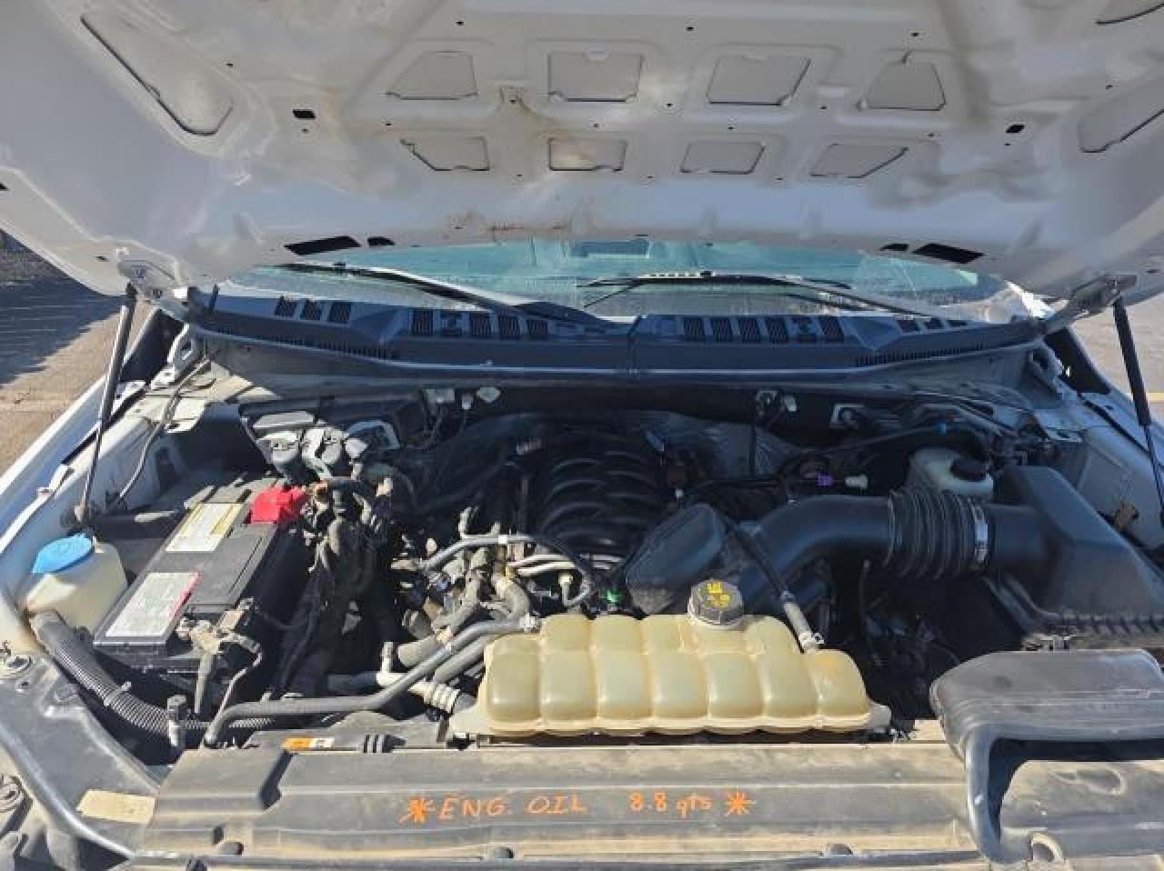 2019 Ford F-150 VIN 1FTEW1E51KKE24941 Copart auction photo, minor dent/scratches / normal wear damage thumbnail 7