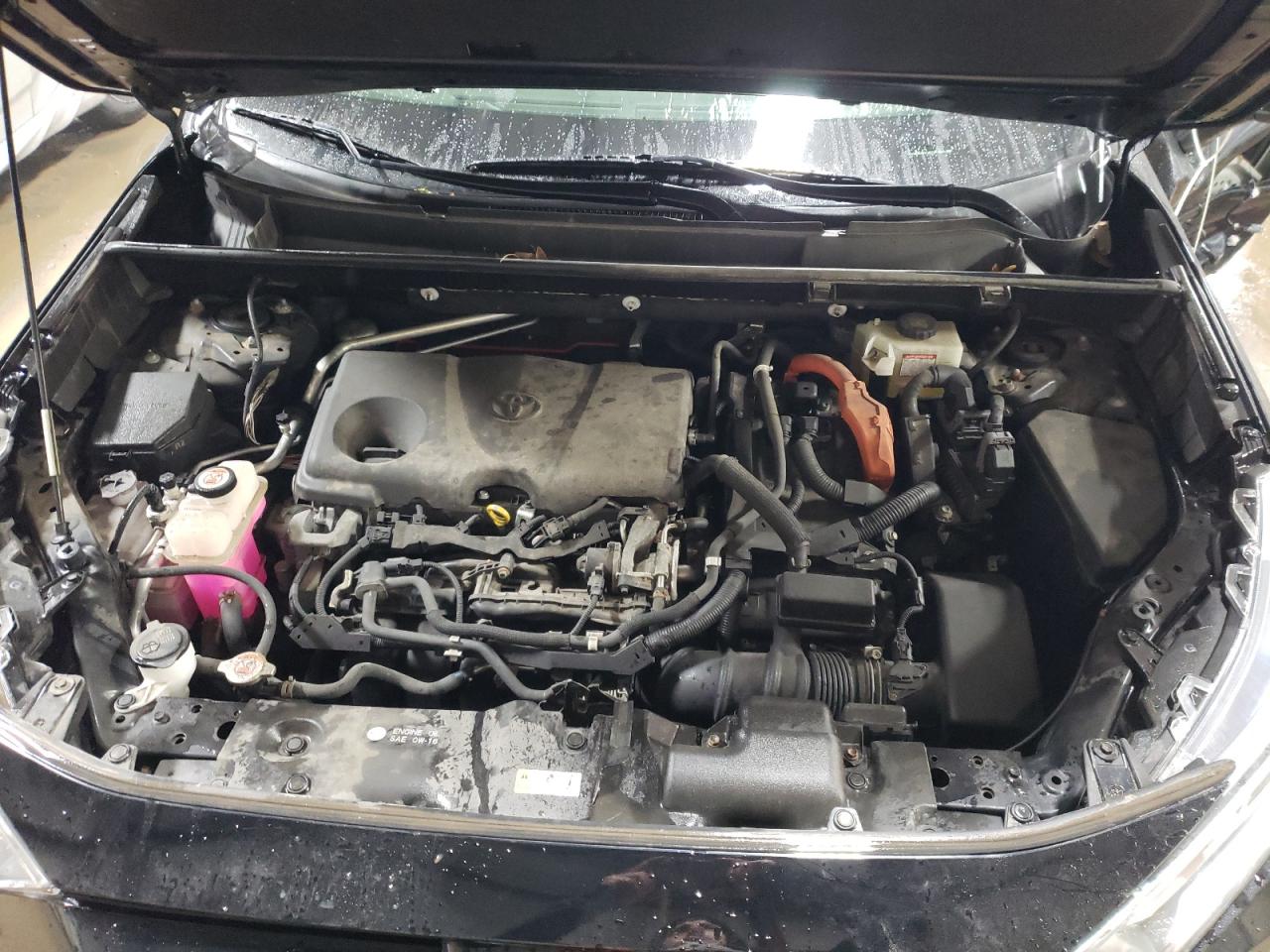 2019 Toyota RAV 4 VIN JTMRWRFV0KD007250 Copart auction photo, side damage thumbnail 11