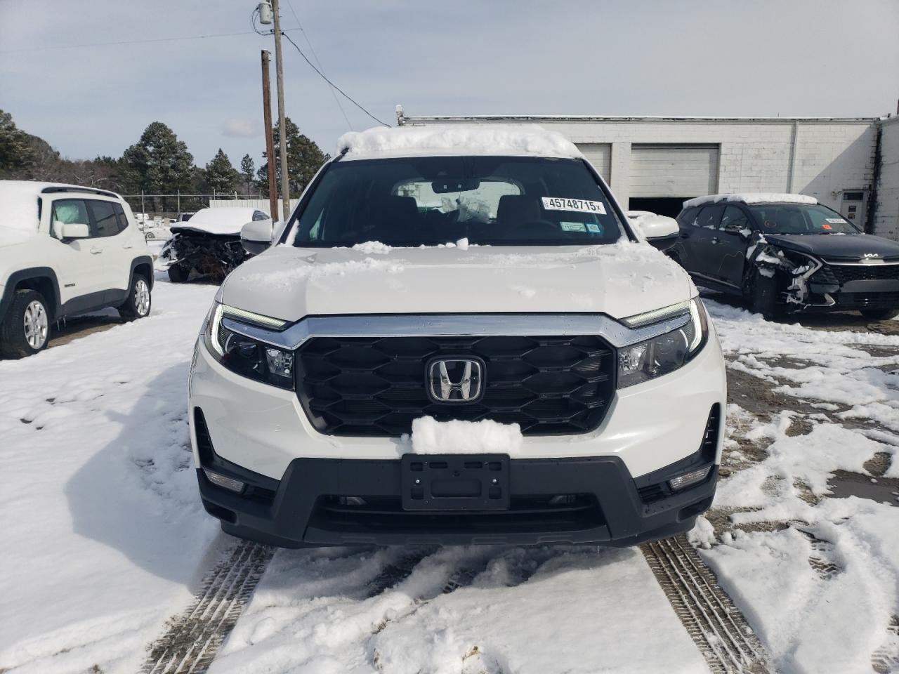 2024 Honda Passport VIN 5FNYF8H50RB023552 Copart auction photo, rear end / side damage thumbnail 5