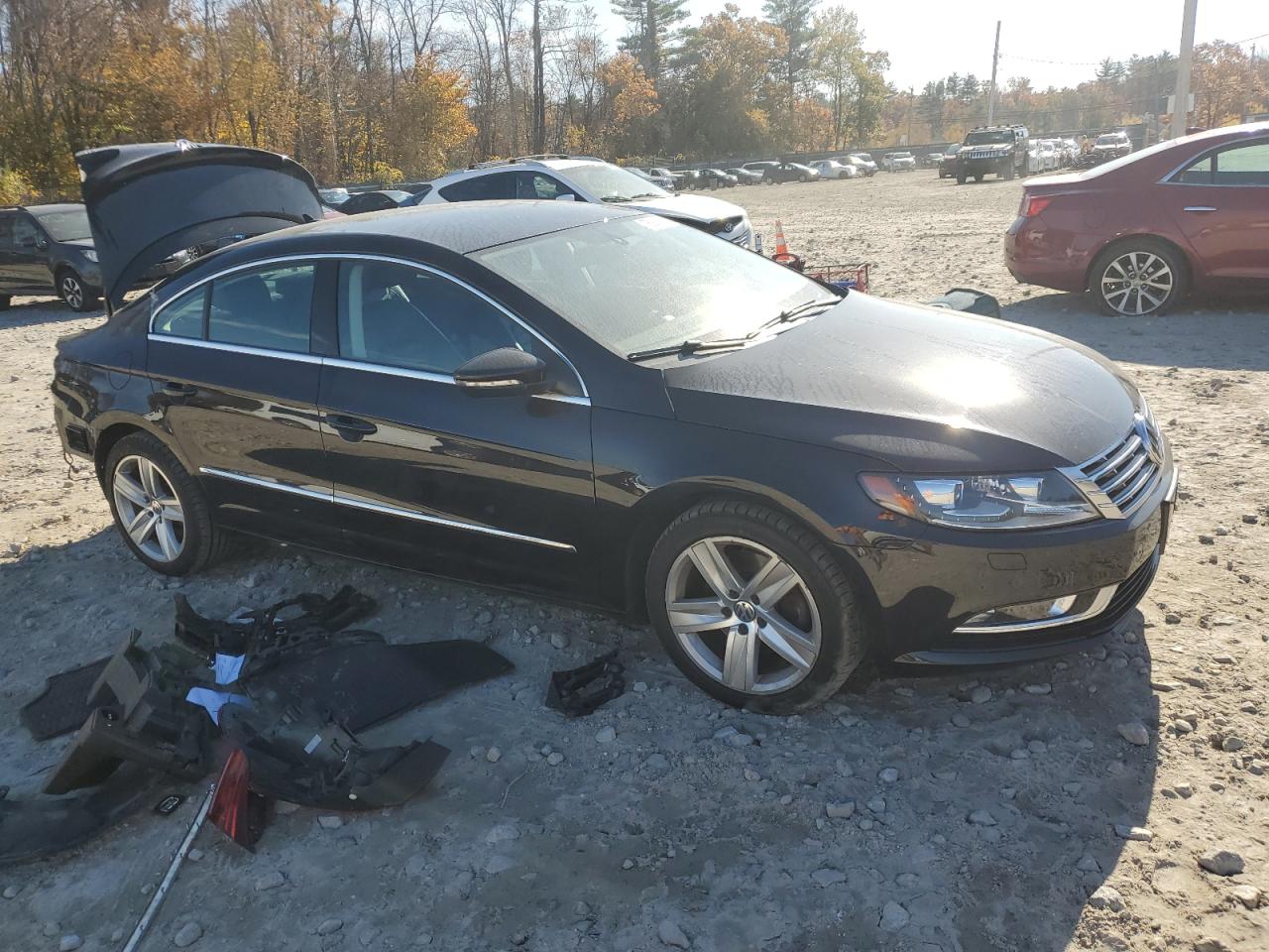2016 Volkswagen Passat CC VIN WVWBP7AN6GE517548 Copart auction photo, rear end damage thumbnail 4