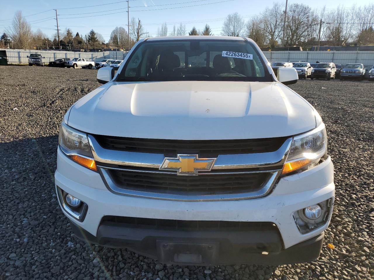 2019 Chevrolet Colorado VIN 1GCGTCEN5K1283391 Copart auction photo, side / front end damage thumbnail 5