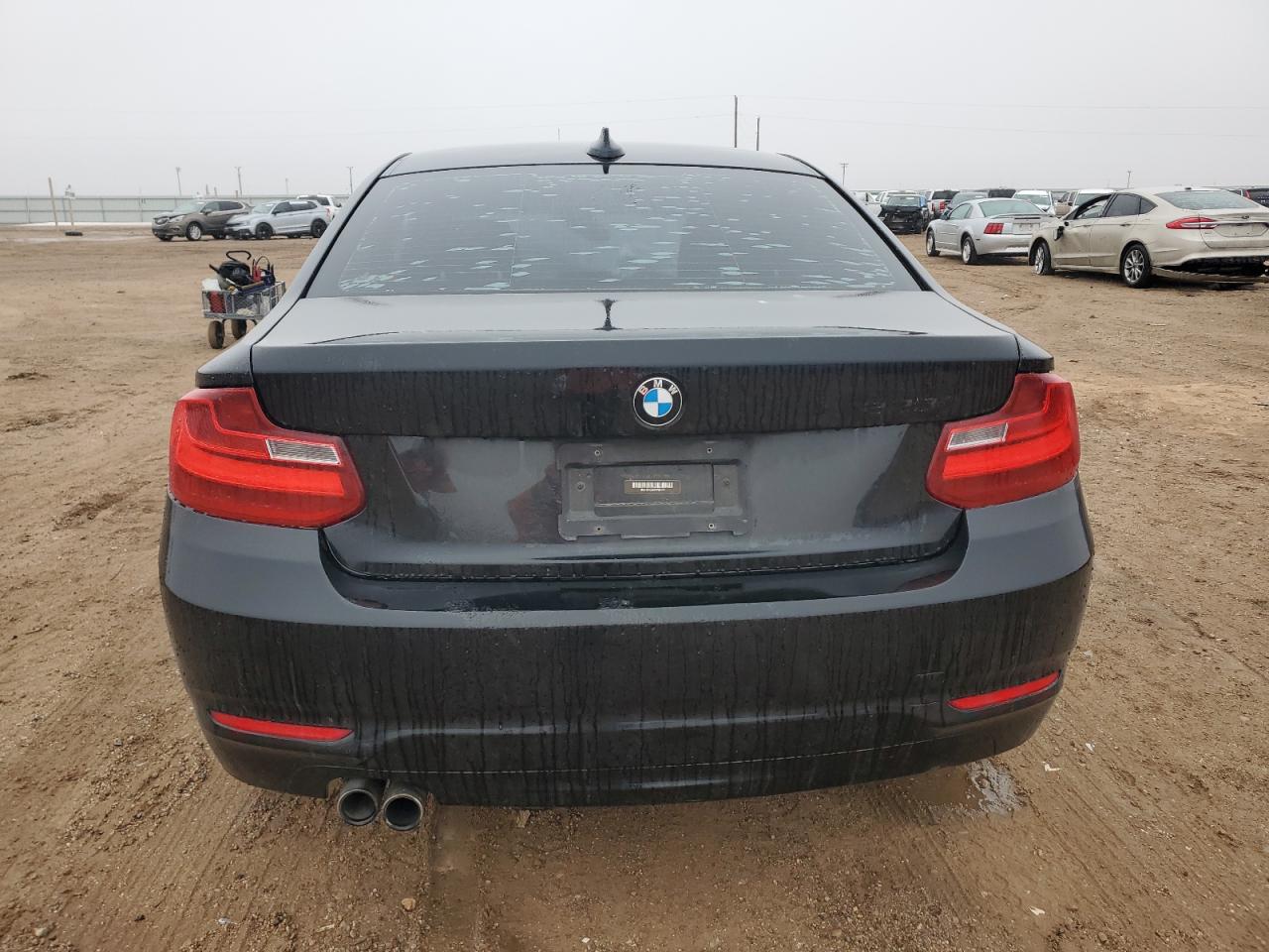 2014 BMW 2er VIN WBA1F5C5XEVV99178 Copart auction photo, front end damage thumbnail 6