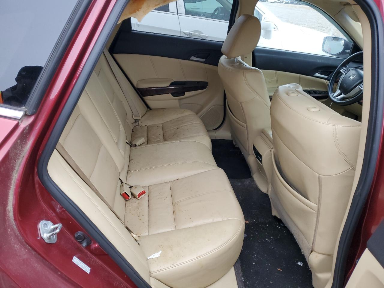 2010 Honda Accord VIN 5J6TF1H51AL014923 Copart auction photo, all over damage thumbnail 10