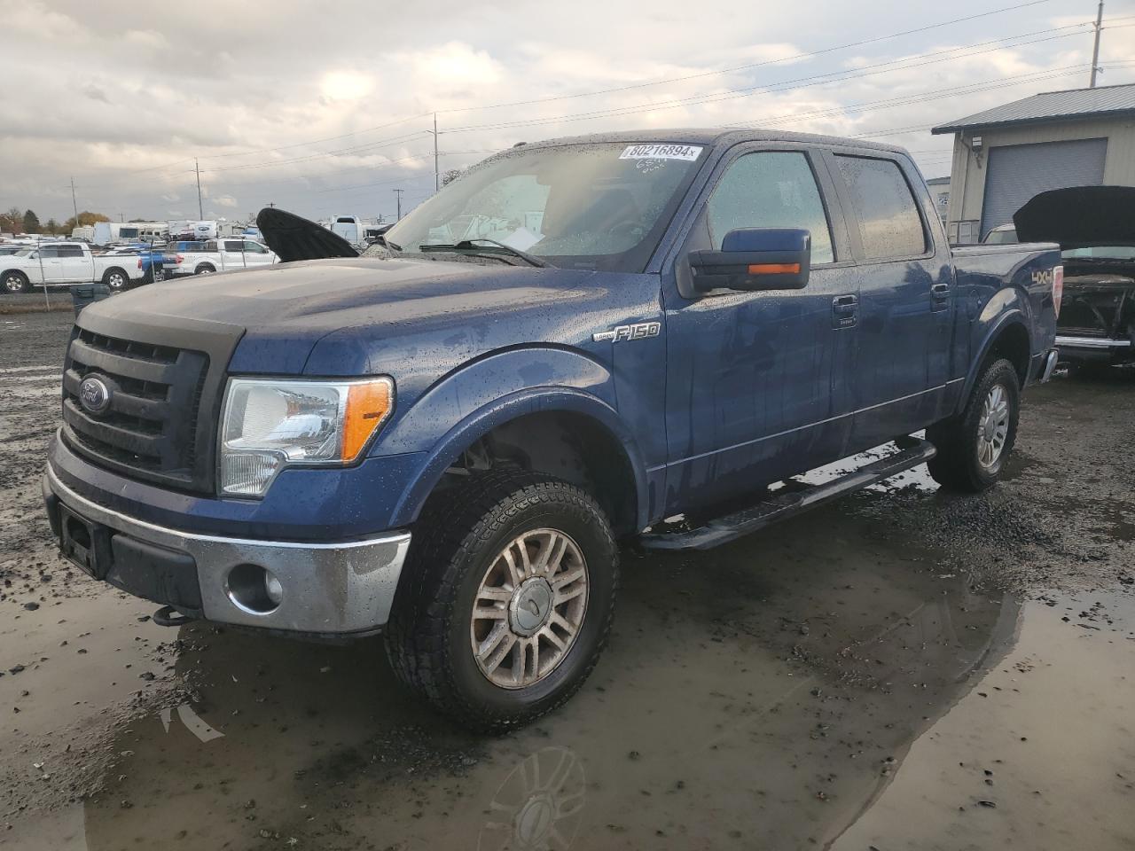 2012 Ford F-150 VIN 1FTFW1EF9CFC59843