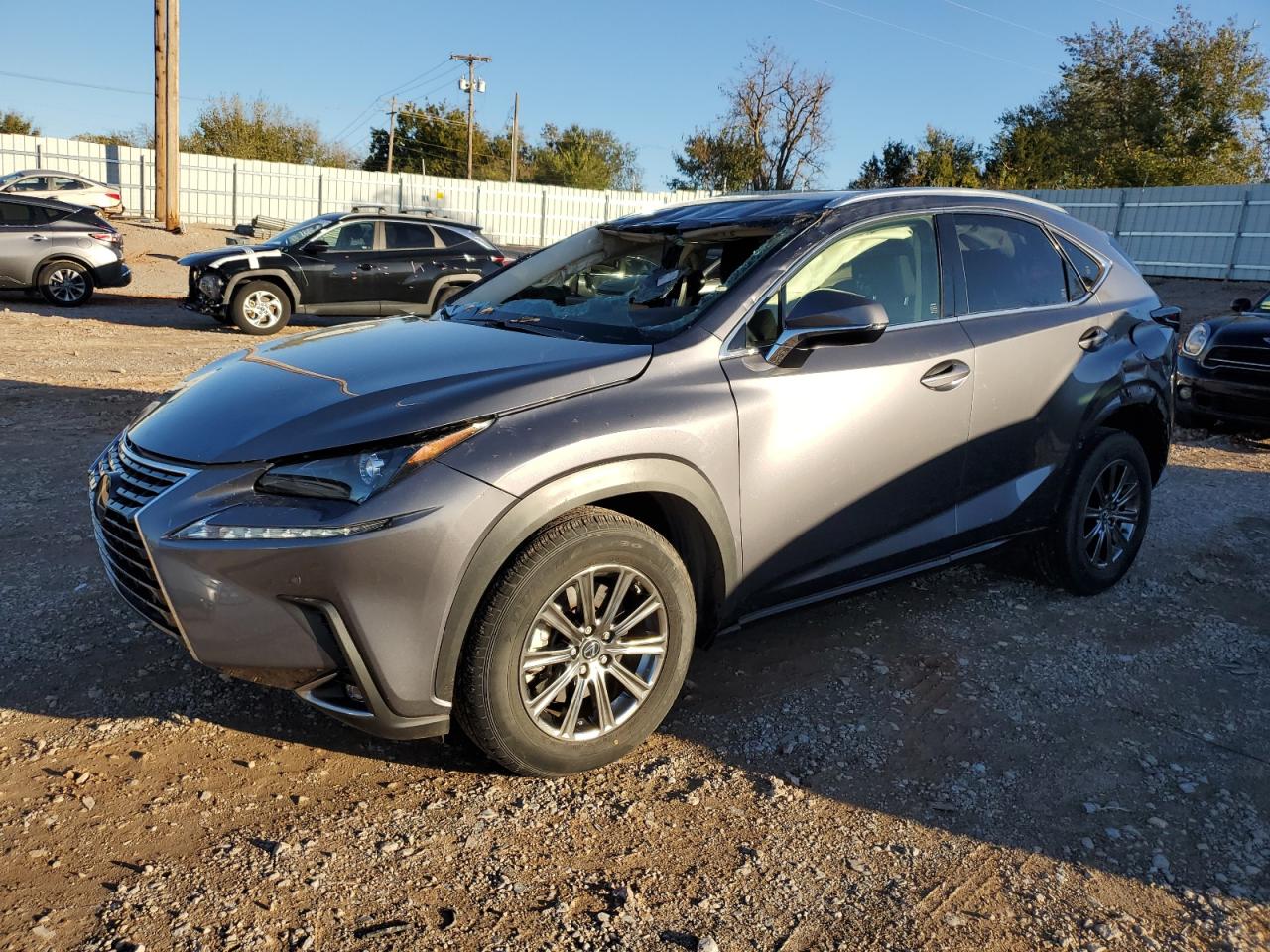 2019 Lexus NX VIN JTJYARBZ2K2124954
