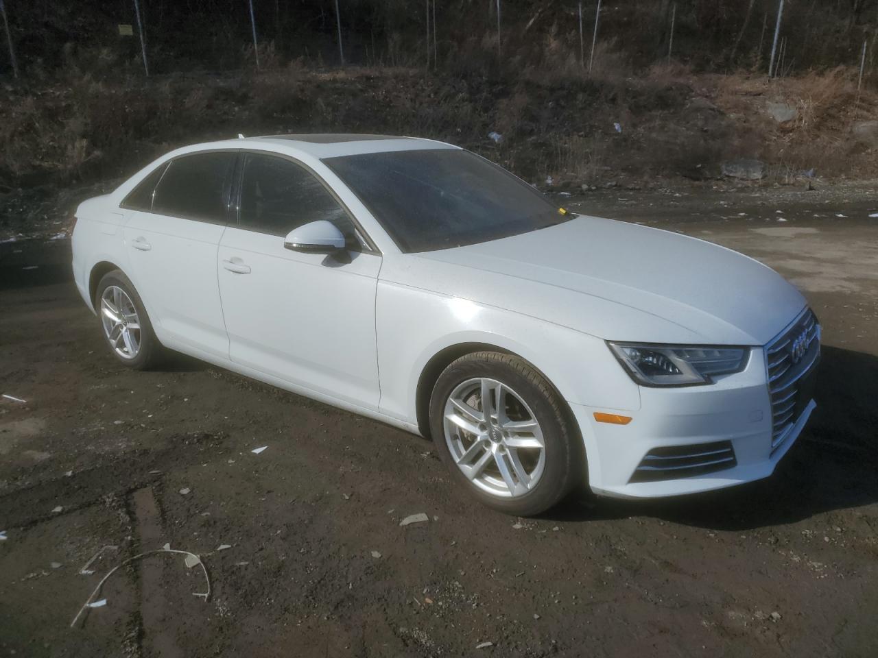 2017 Audi A4 VIN WAUGNAF47HN023657 Copart auction photo, side / minor dent/scratches damage thumbnail 4
