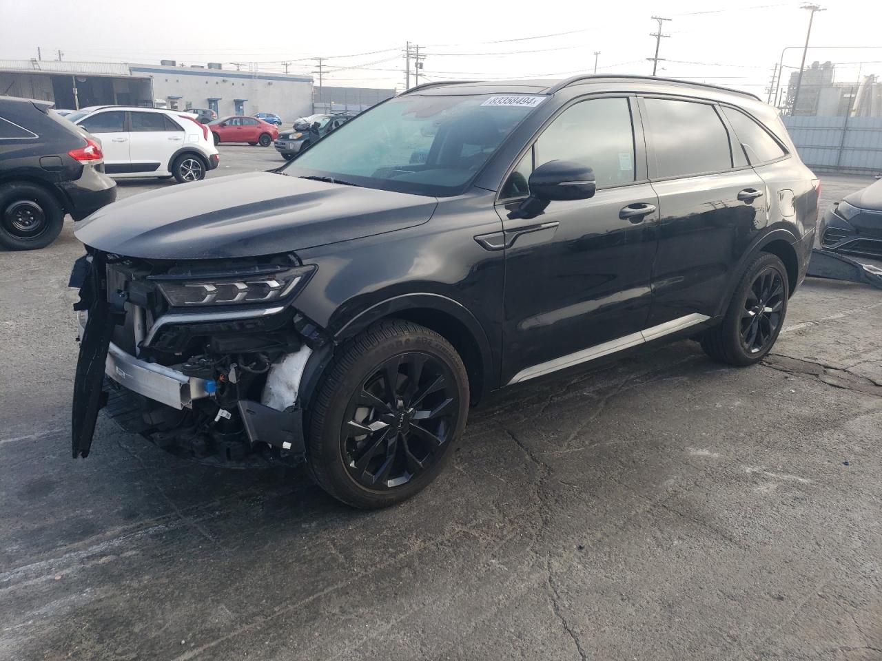 2023 KIA Sorento VIN 5XYRK4LF3PG203624