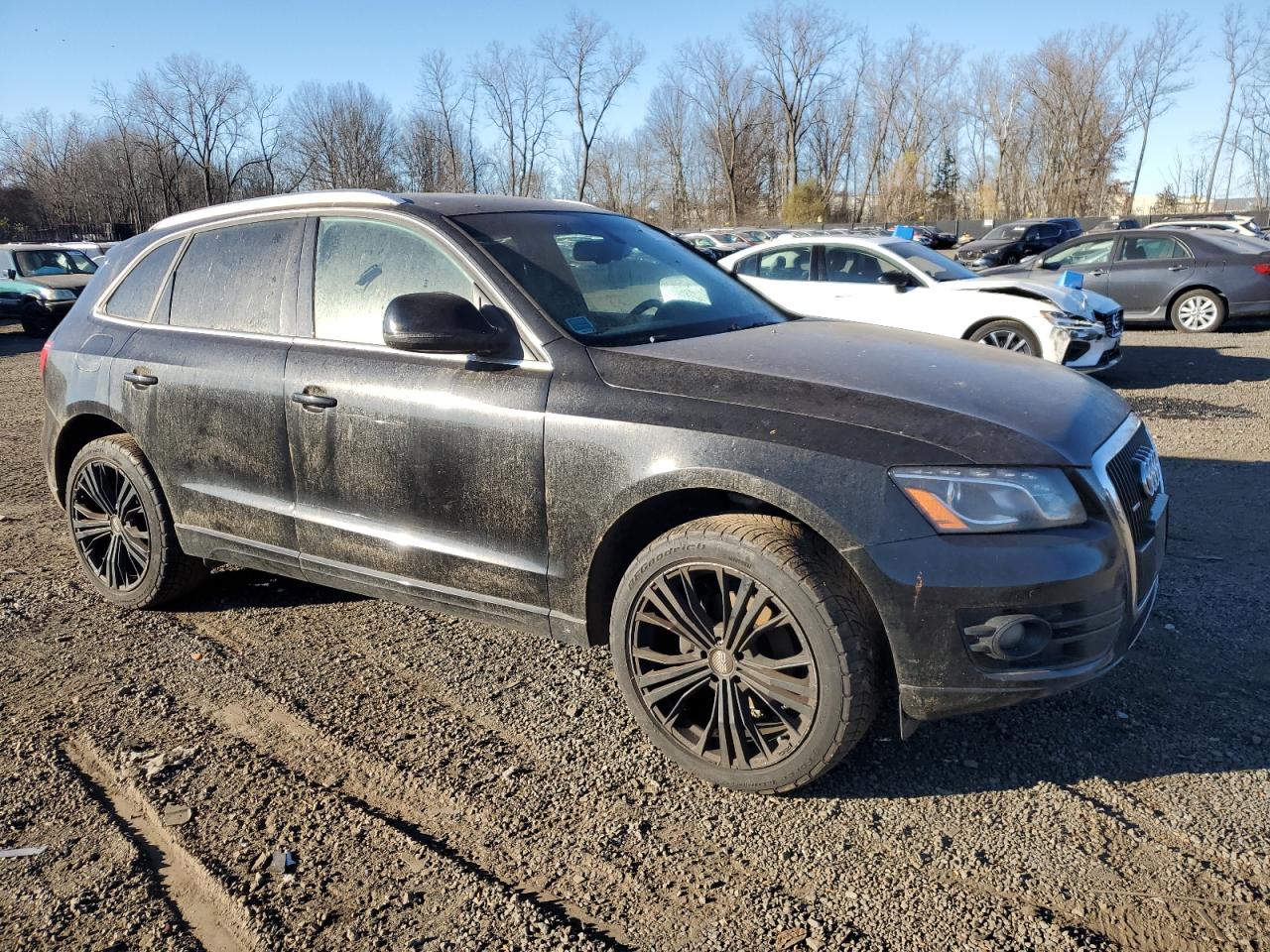 2010 Audi Q5 VIN WA1VKAFP7AA084155 Copart auction photo, water/flood / mechanical damage thumbnail 4