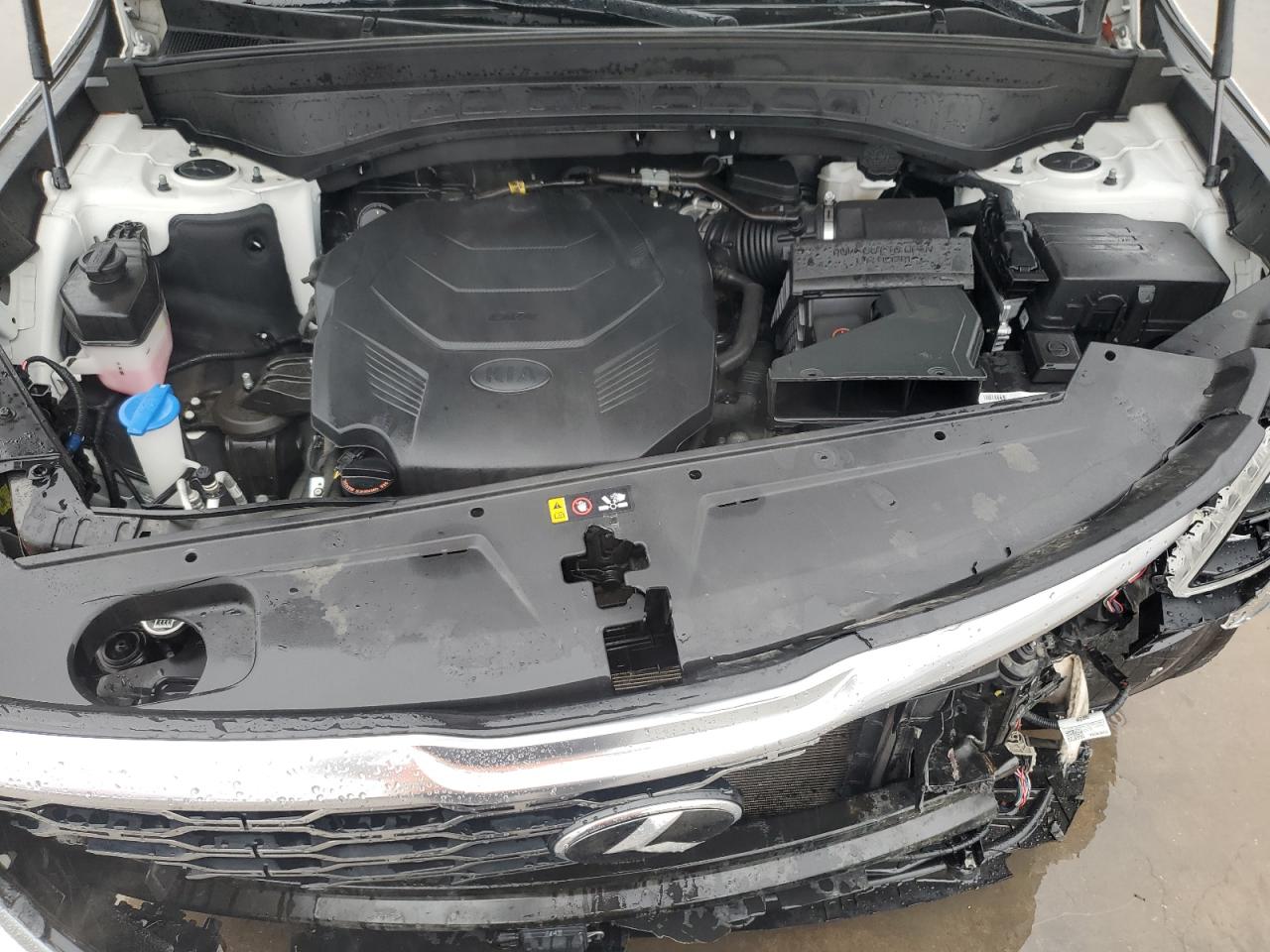 2021 KIA Telluride VIN 5XYP5DHC0MG144136 Copart auction photo, front end damage thumbnail 12