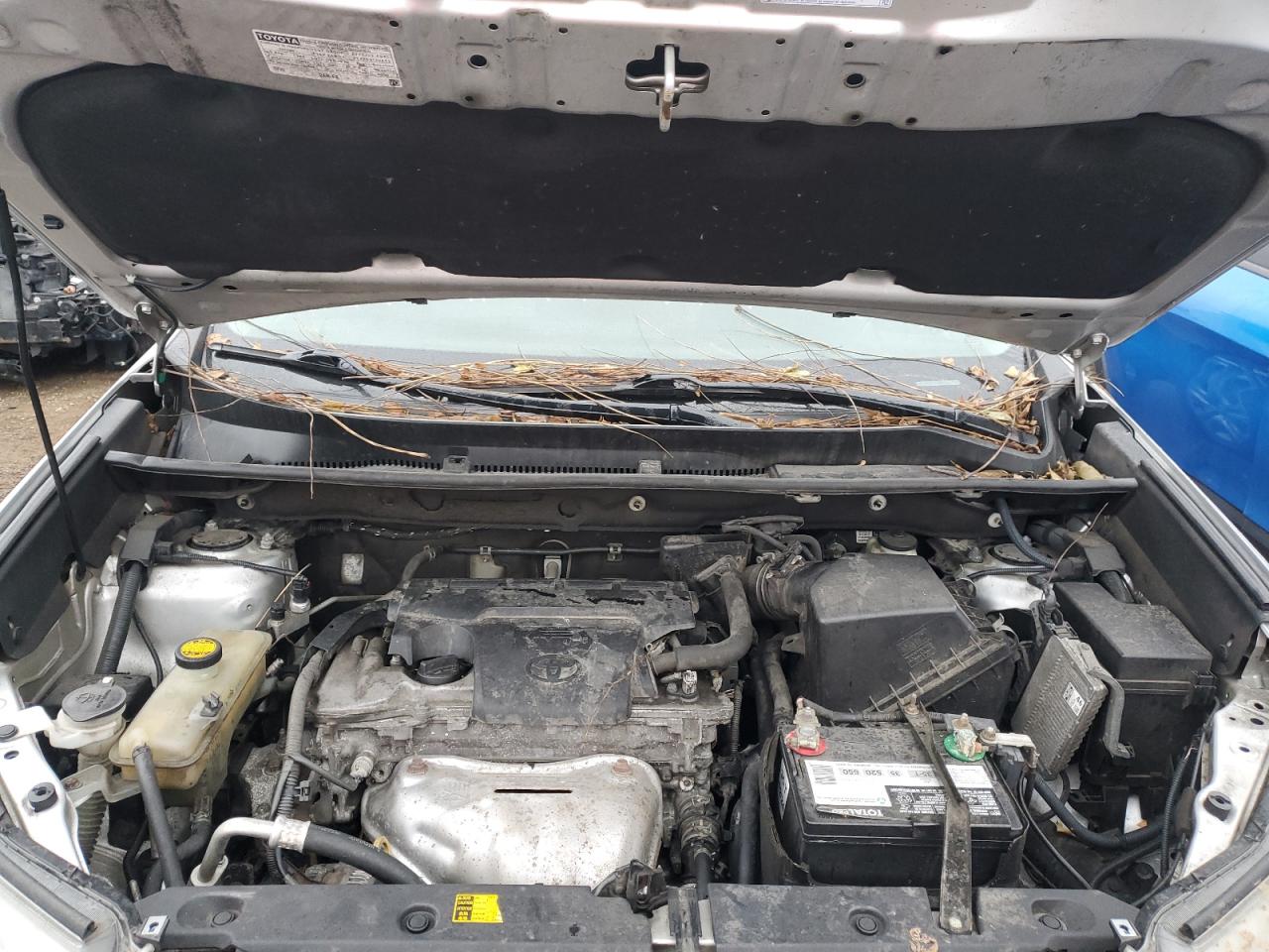 2015 Toyota RAV 4 VIN 2T3ZFREV5FW186430 Copart auction photo, vandalism / minor dent/scratches damage thumbnail 11