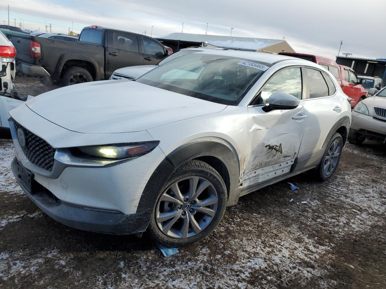 2020 Mazda CX-30 VIN 3MVDMBDL7LM117757 - Copart auction photo
