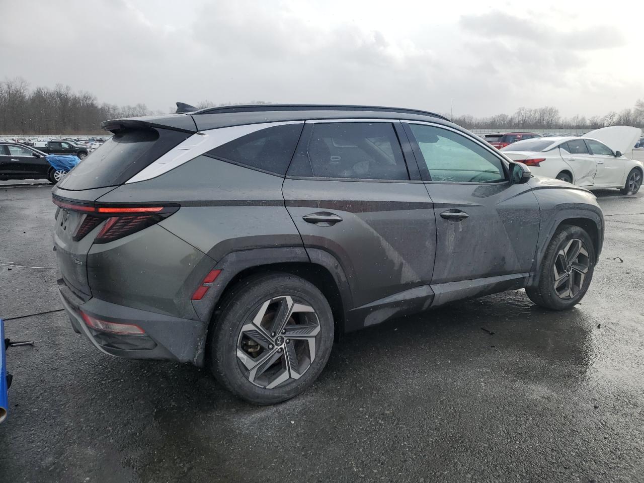 2022 Hyundai Tucson VIN 5NMJECAE9NH090466 Copart auction photo, side damage thumbnail 3