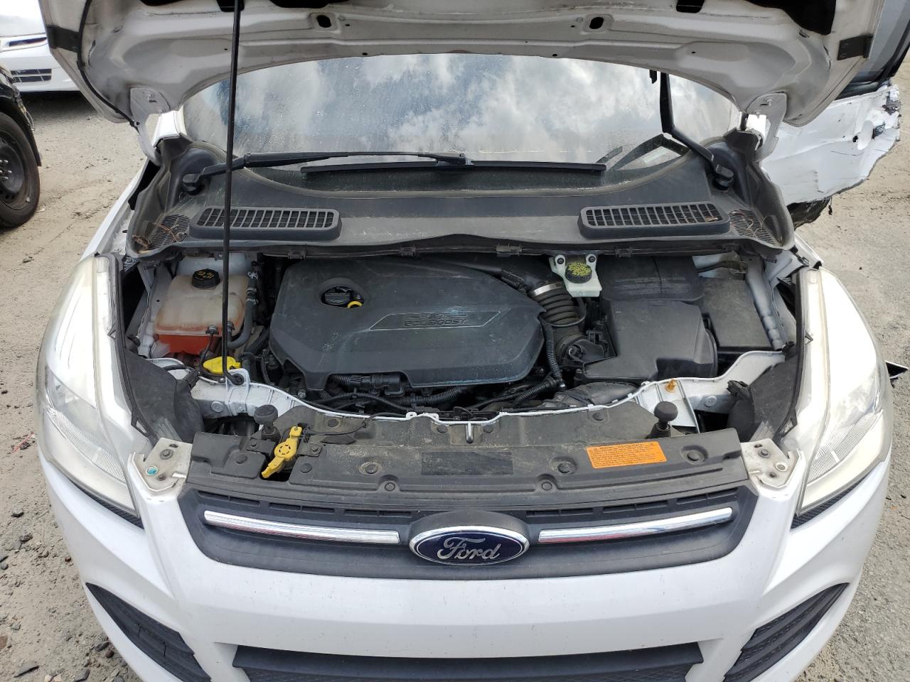 2014 Ford Escape VIN 1FMCU0GX7EUA99545 Copart auction photo, side damage thumbnail 12