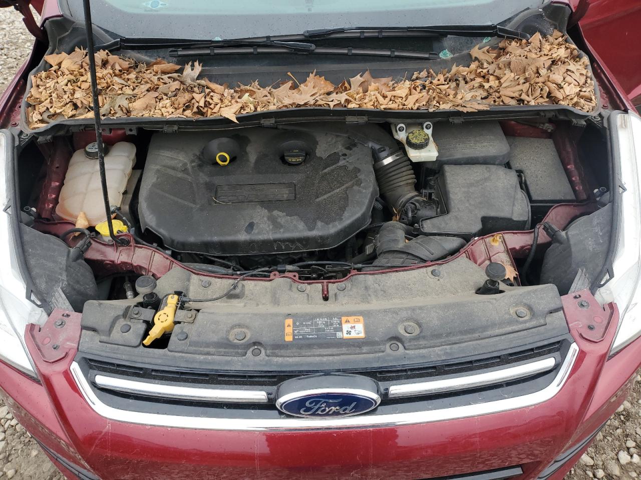 2014 Ford Escape VIN 1FMCU9J99EUA20794 Copart auction photo, side damage thumbnail 12