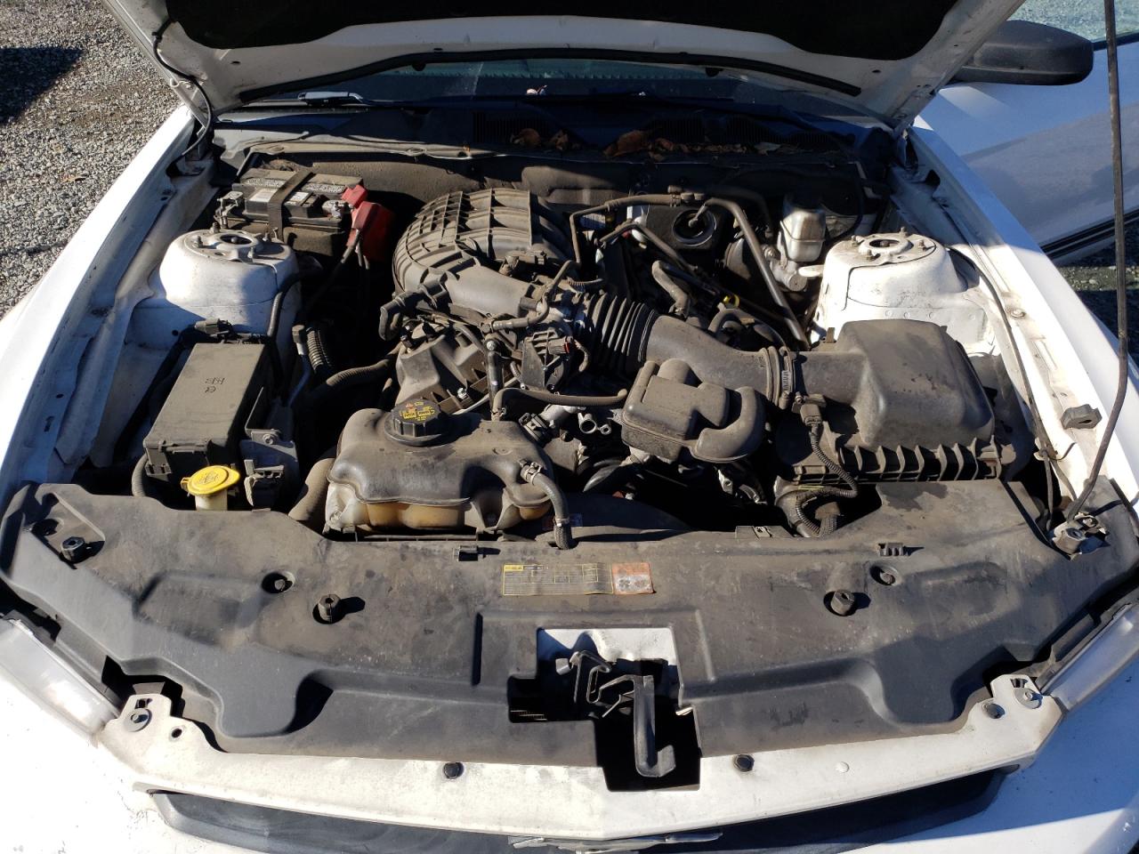 2012 Ford Mustang VIN 1ZVBP8AM4C5276271 Copart auction photo, rear end damage thumbnail 11