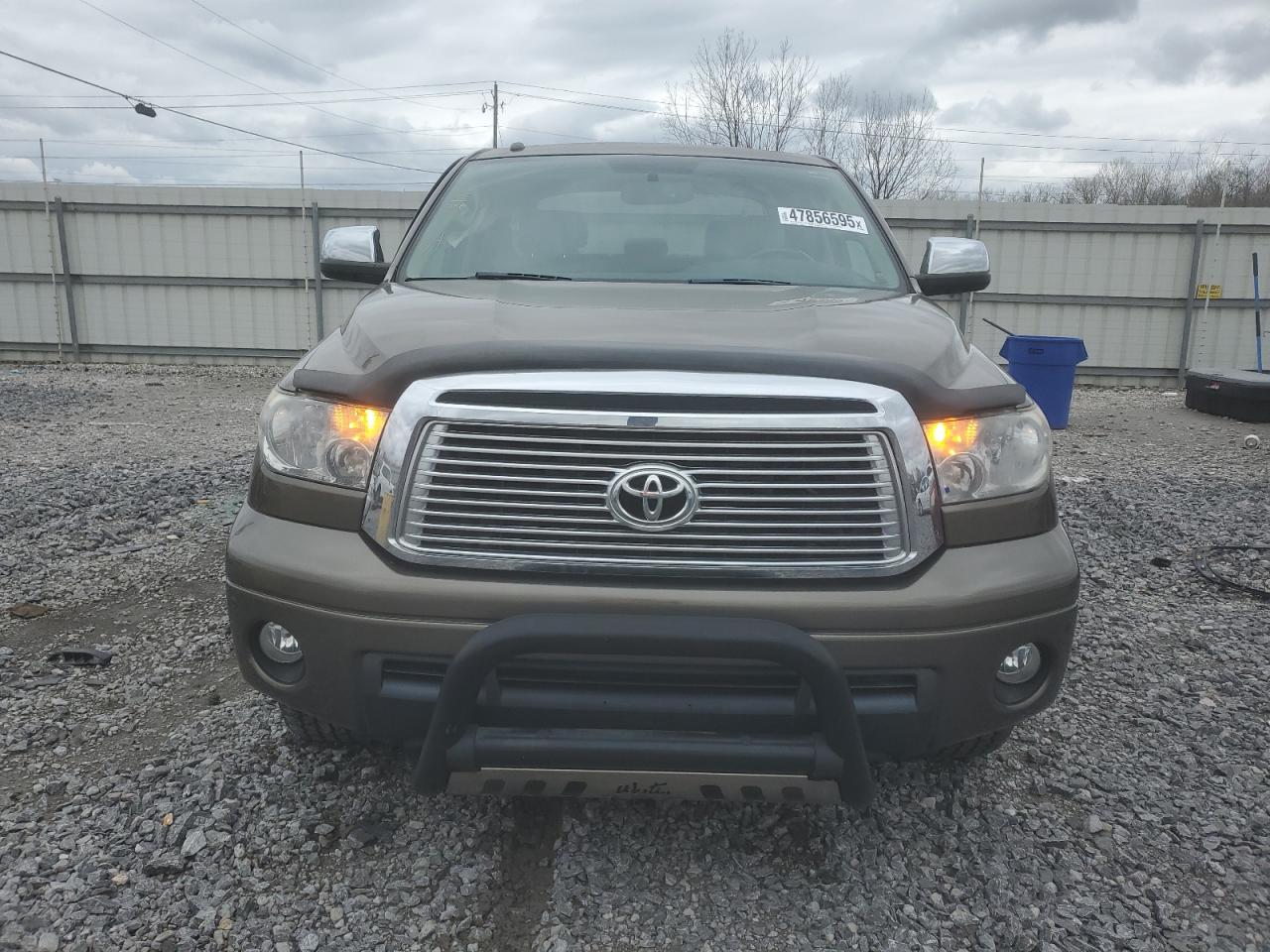 2011 Toyota Tundra VIN 5TFFY5F10BX113280 Copart auction photo, side damage thumbnail 5