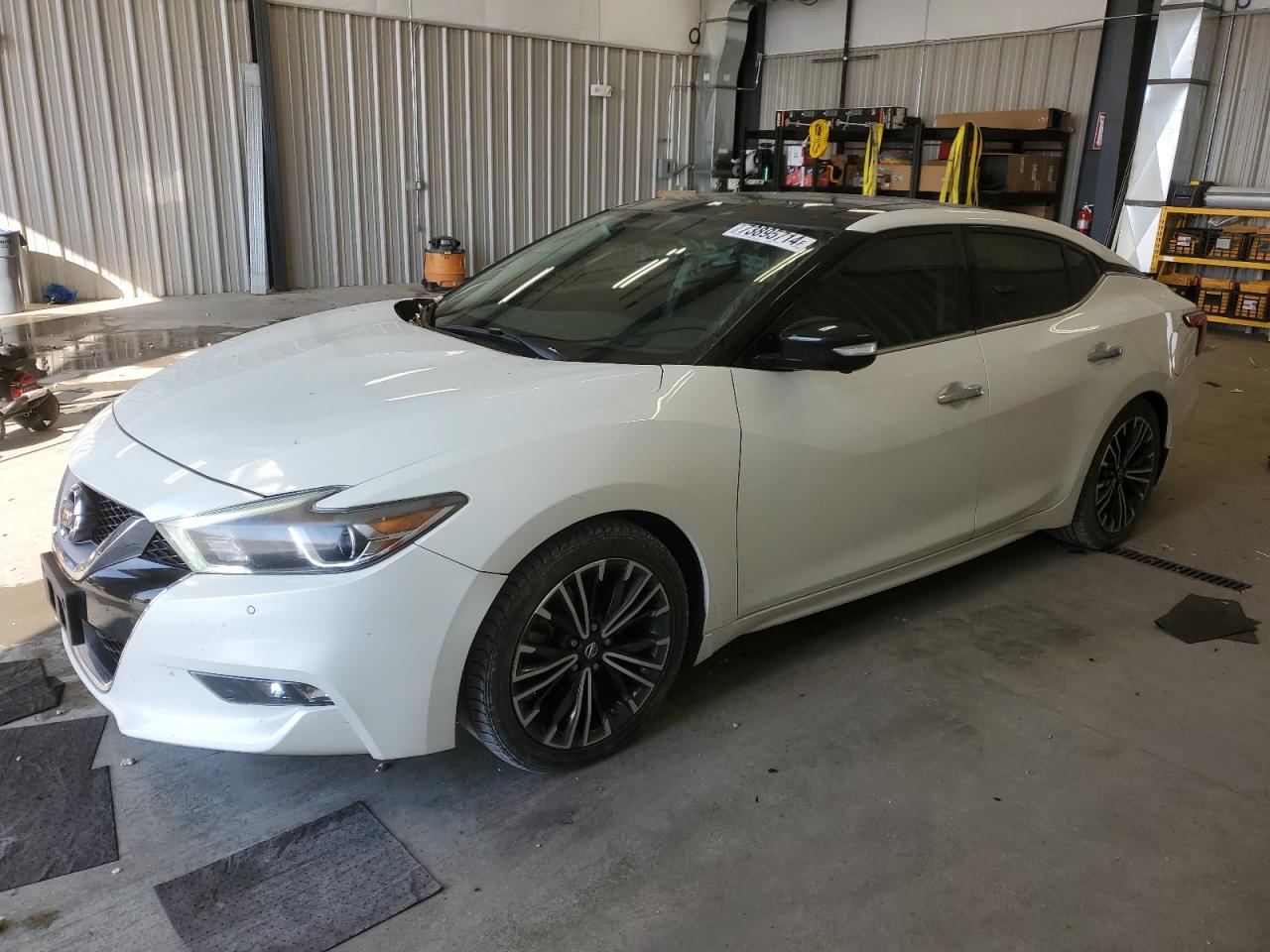 2017 Nissan Maxima VIN 1N4AA6APXHC428576