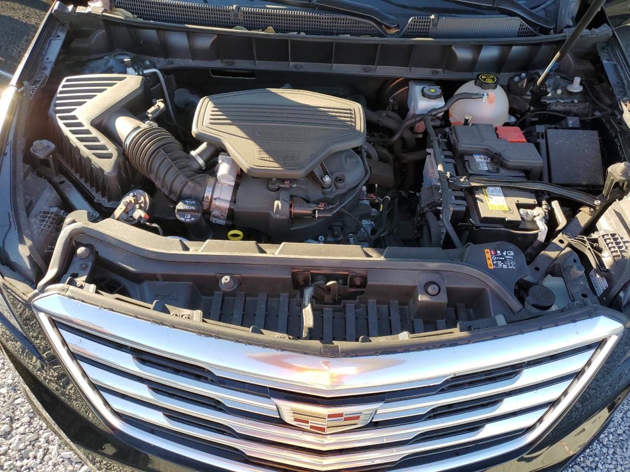 2019 Cadillac XT5 VIN 1GYKNERS1KZ283514 Copart auction photo, minor dent/scratches damage thumbnail 12