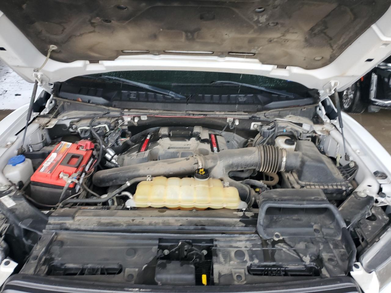 2019 Ford F-150 VIN 1FTFW1RG7KFB24930 Copart auction photo, rear end damage thumbnail 11