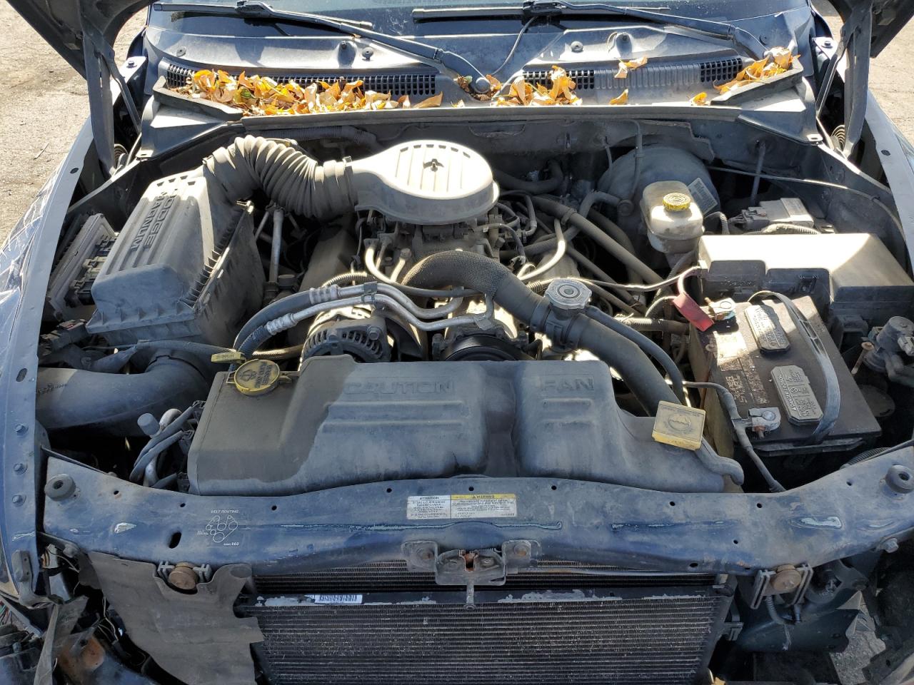 2002 Dodge Durango VIN 1B4HS48Z22F219806 Copart auction photo, front end damage thumbnail 14