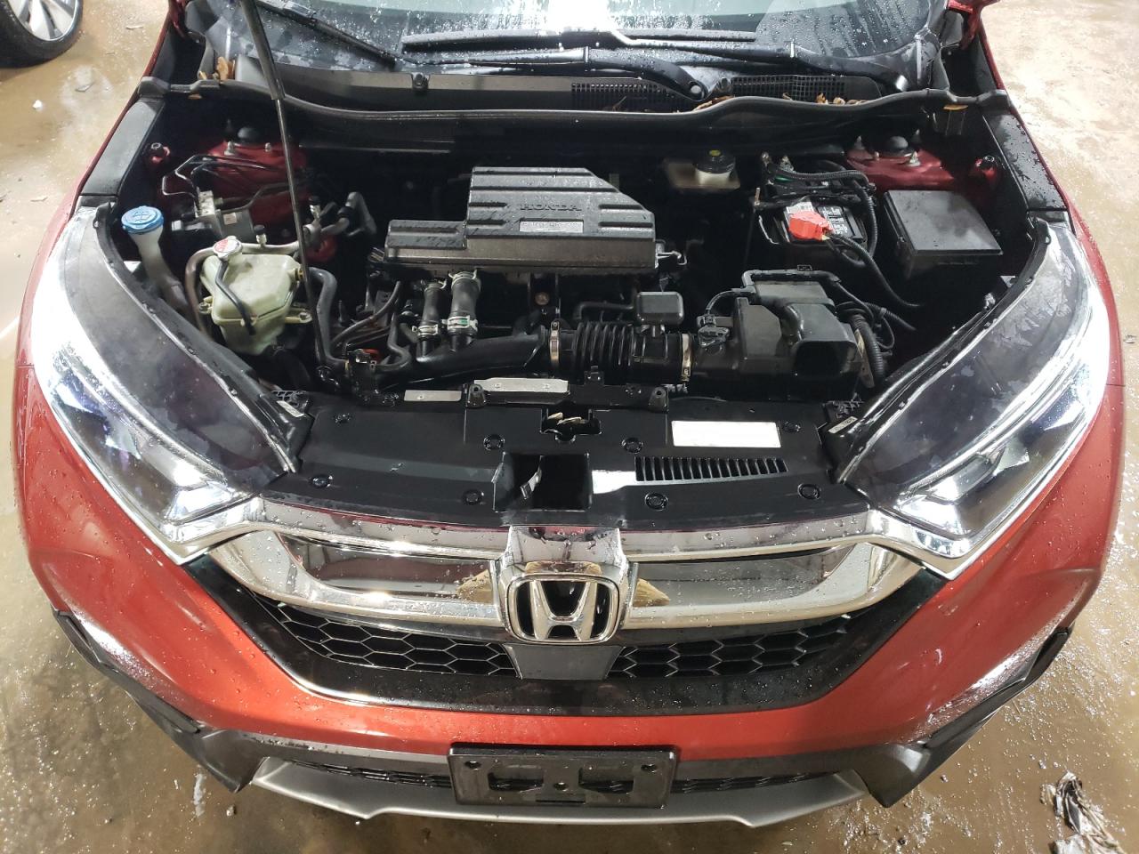 2017 Honda CR-V VIN 5J6RW2H83HL053369 Copart auction photo, rear end damage thumbnail 11