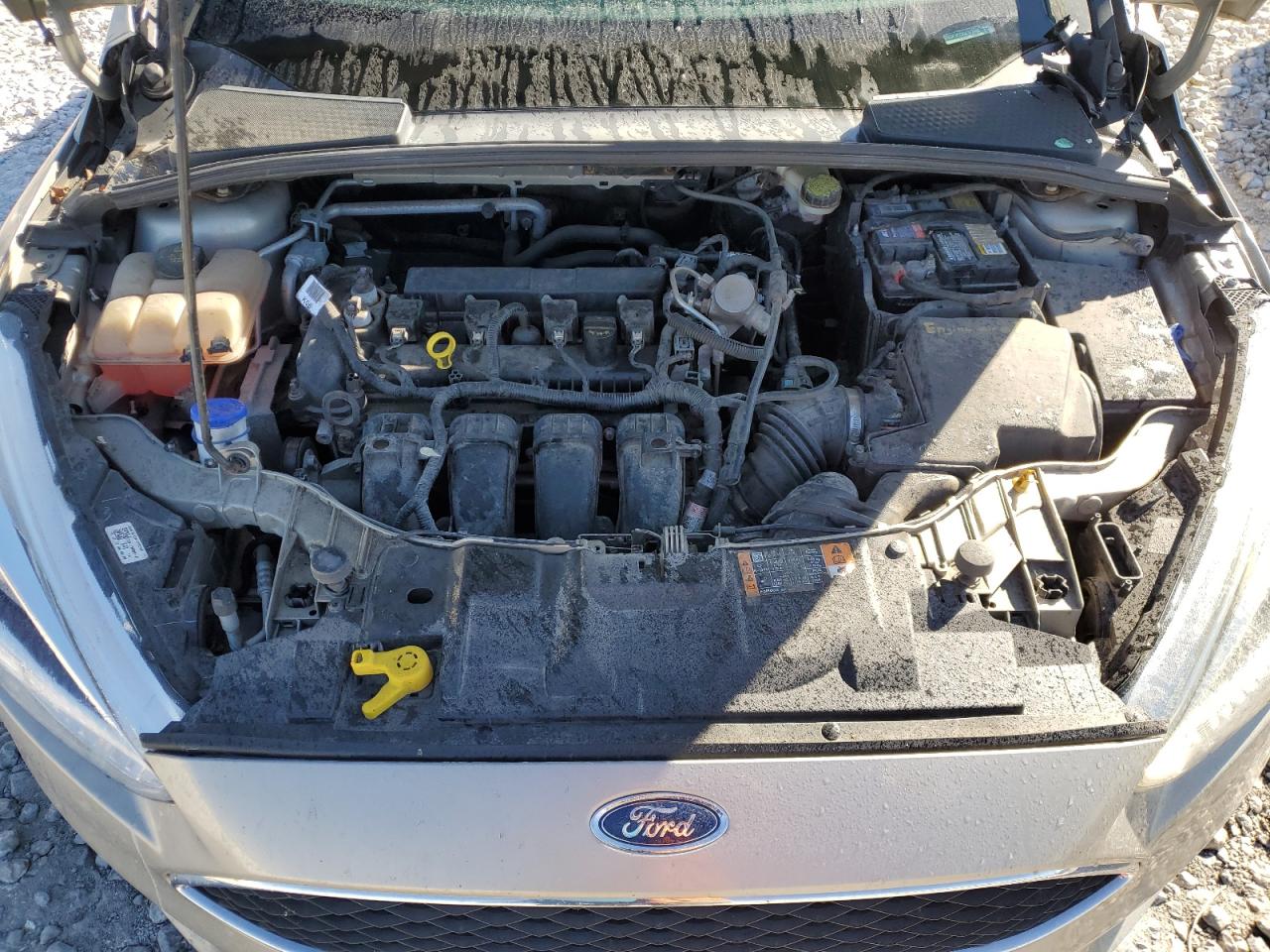2016 Ford Focus VIN 1FADP3F28GL373485 Copart auction photo, side damage thumbnail 11