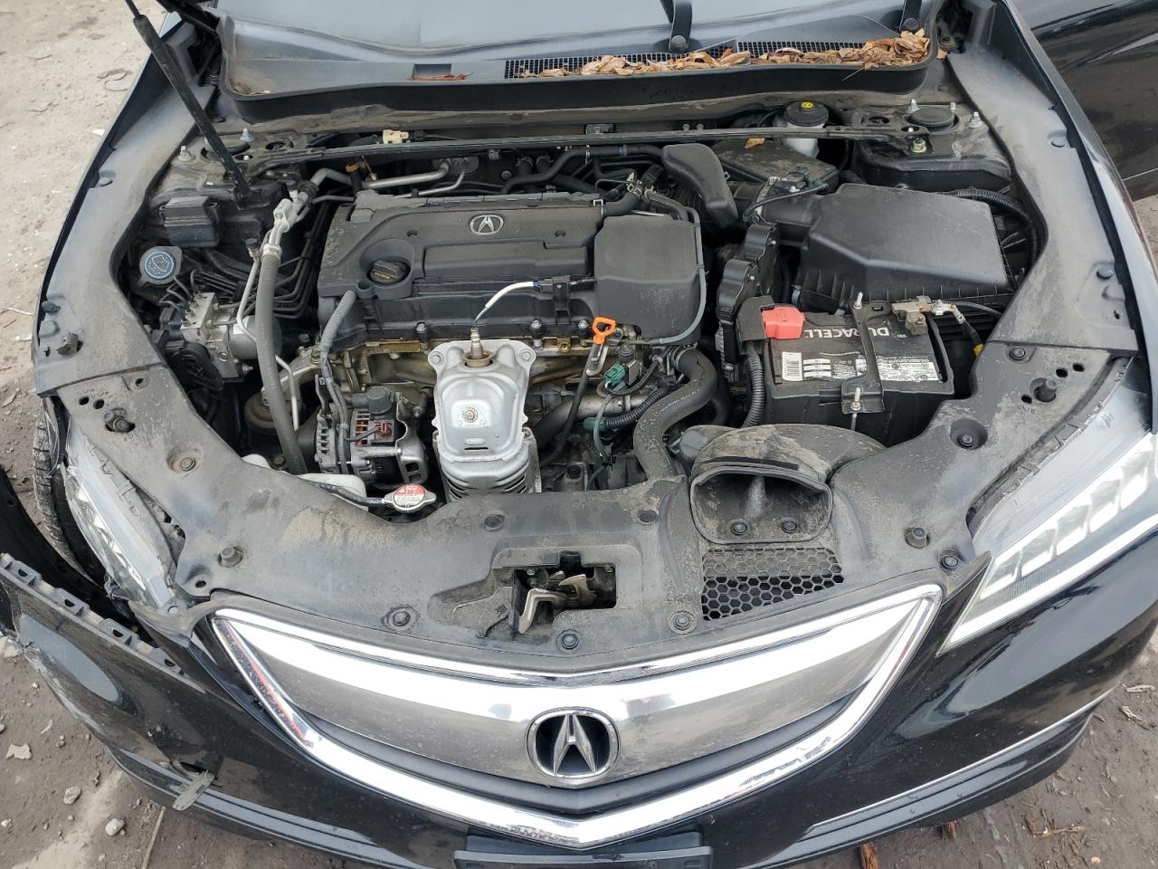 2016 Acura TLX VIN 19UUB1F5XGA001022 Copart auction photo, front end / minor dent/scratches damage thumbnail 12