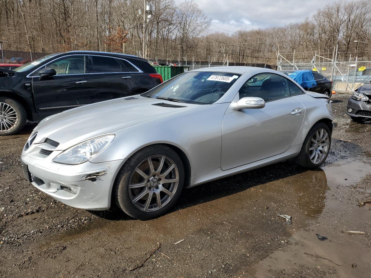 2005 Mercedes-Benz SLK-klasse VIN WDBWK56F25F026373 - Copart auction photo