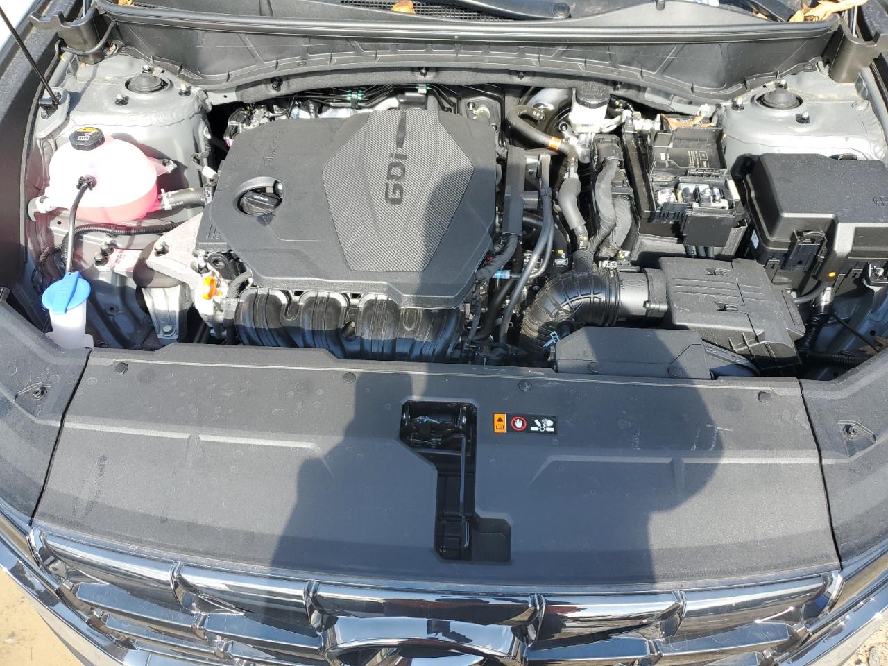 2024 Hyundai Tucson VIN 5NMJE3DE6RH372954 Copart auction photo, side / all over damage thumbnail 12
